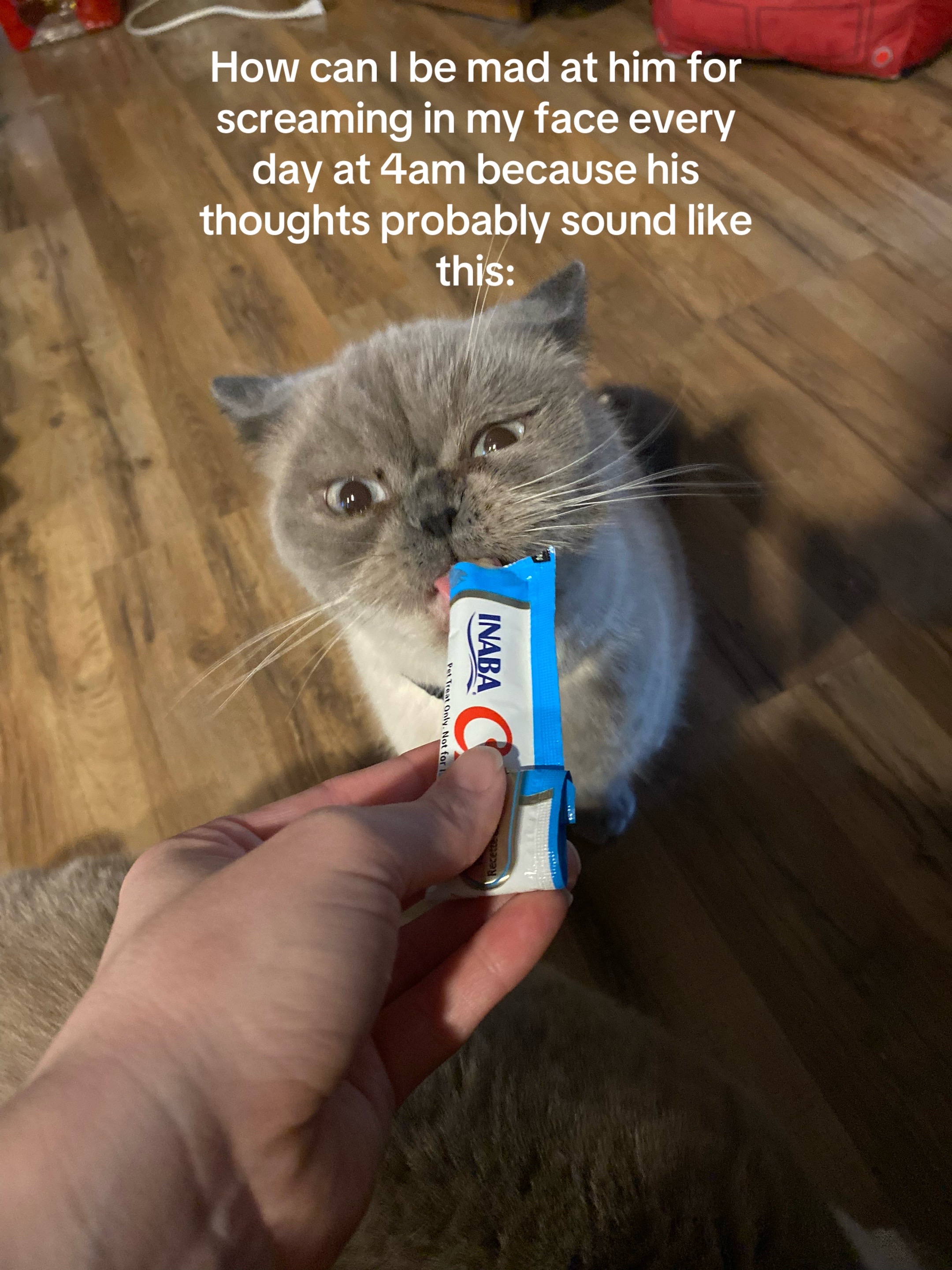 @Lulu + Mayo