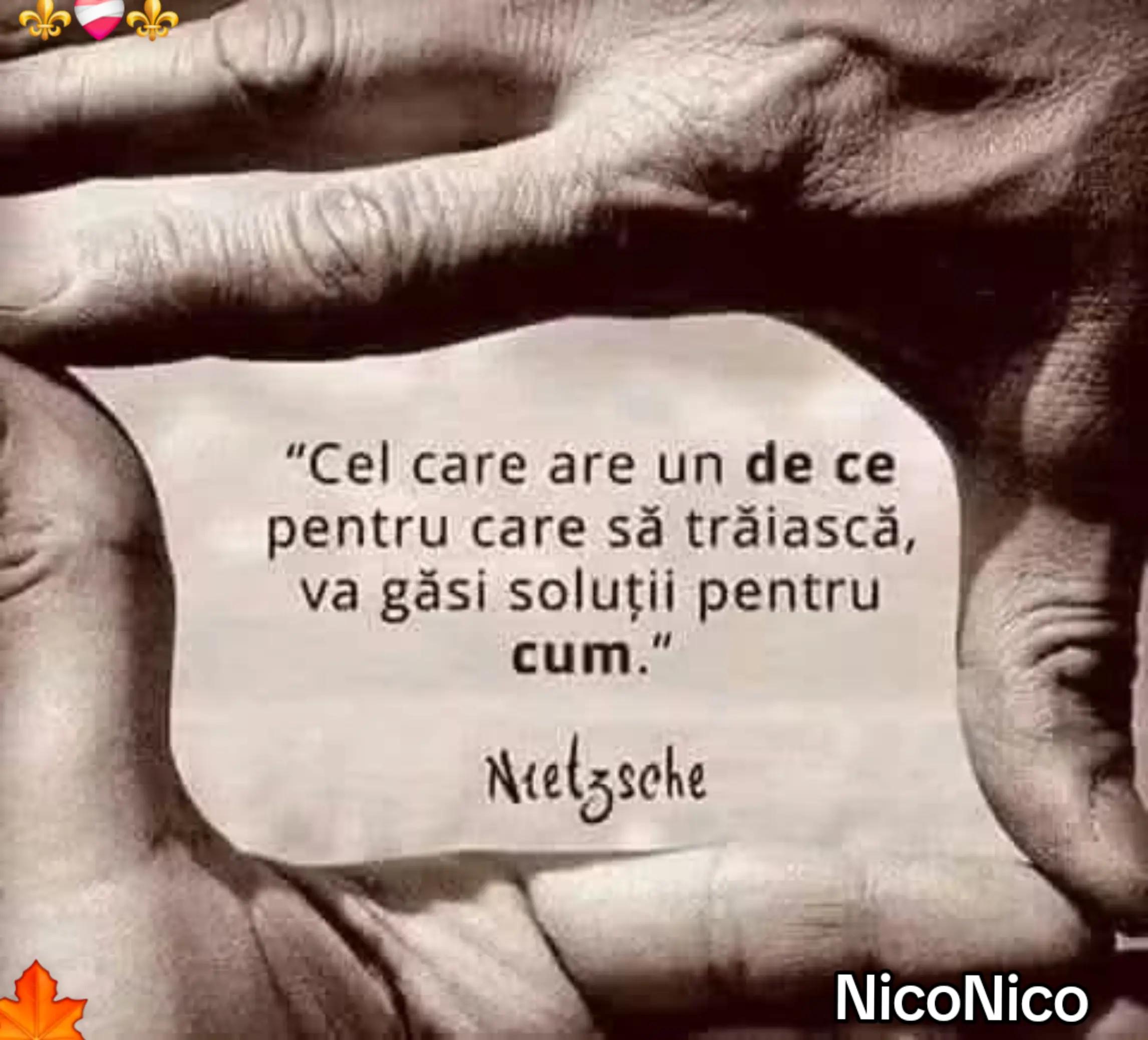 @NicoNico