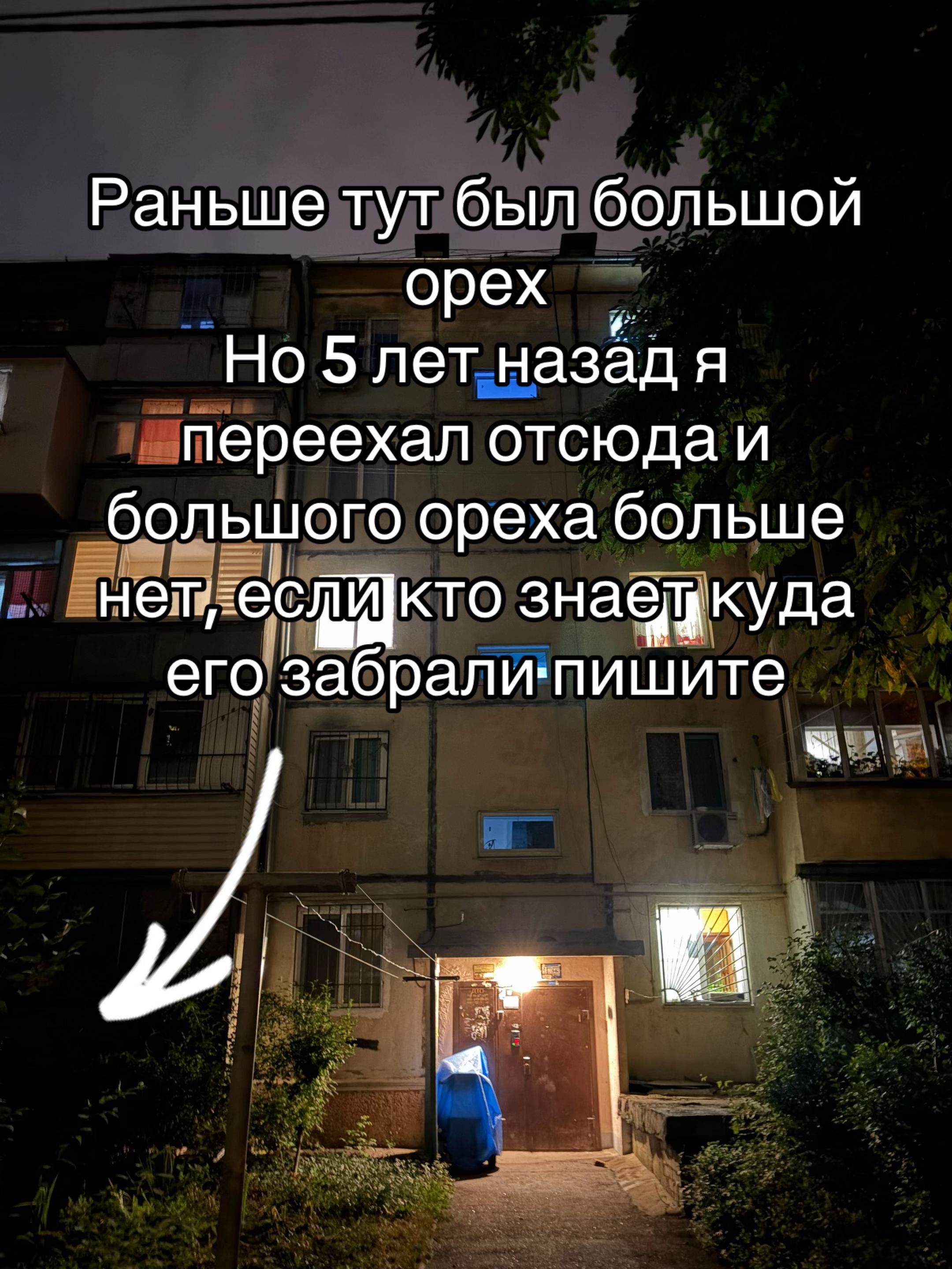 @даня🌴