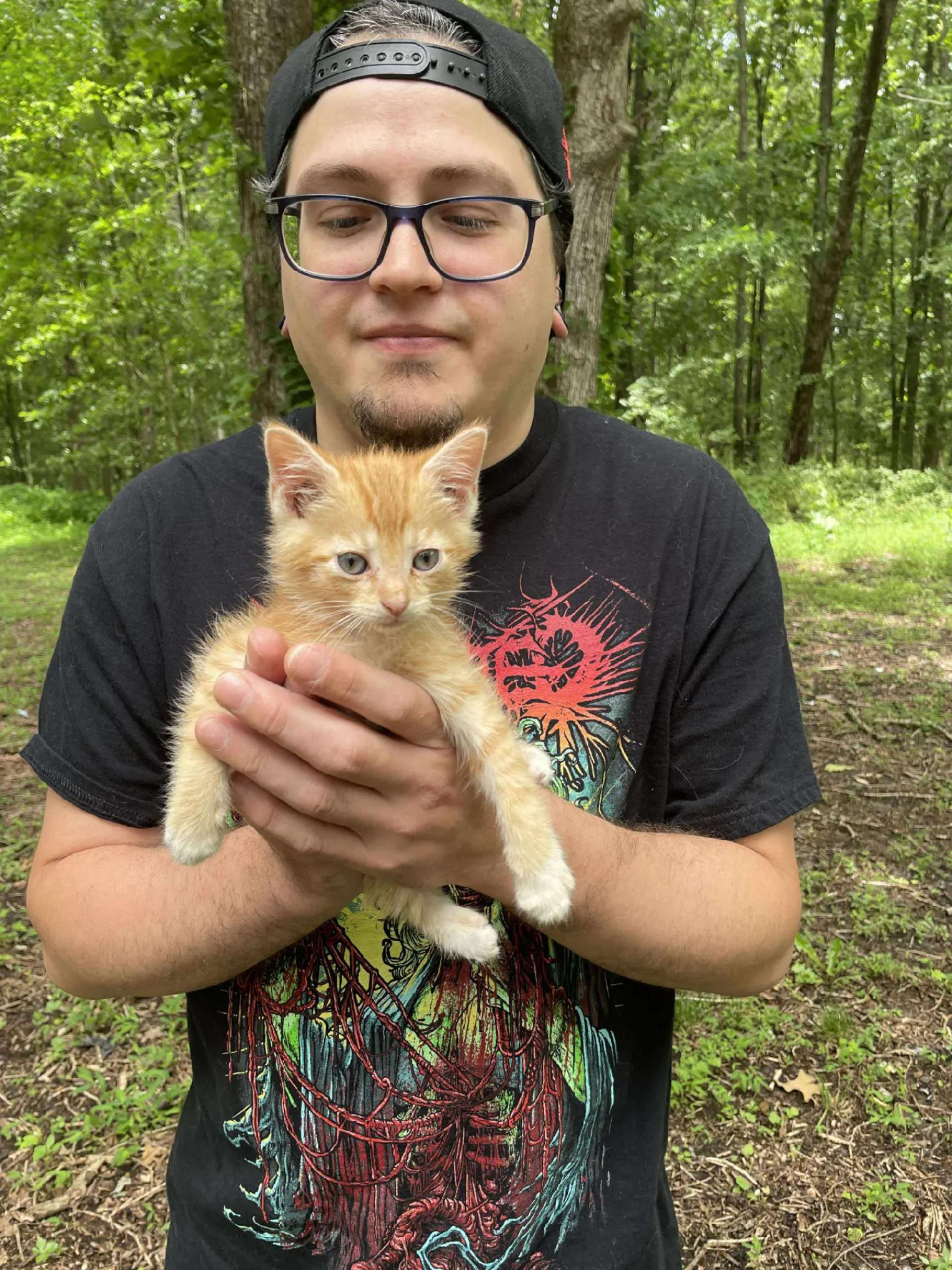 @The Metal Cat Dad!🐈🐈&zwj;⬛🐾🤘