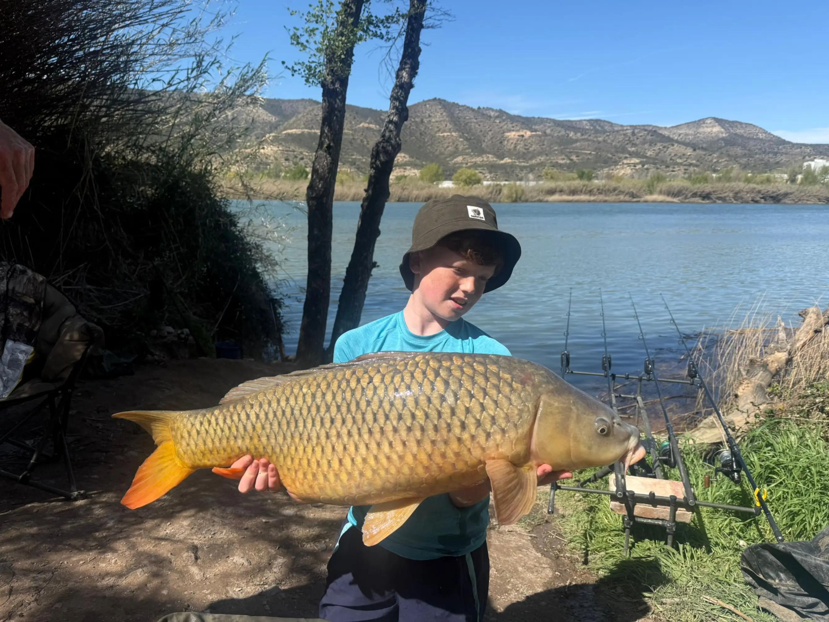 @Carpy Brez