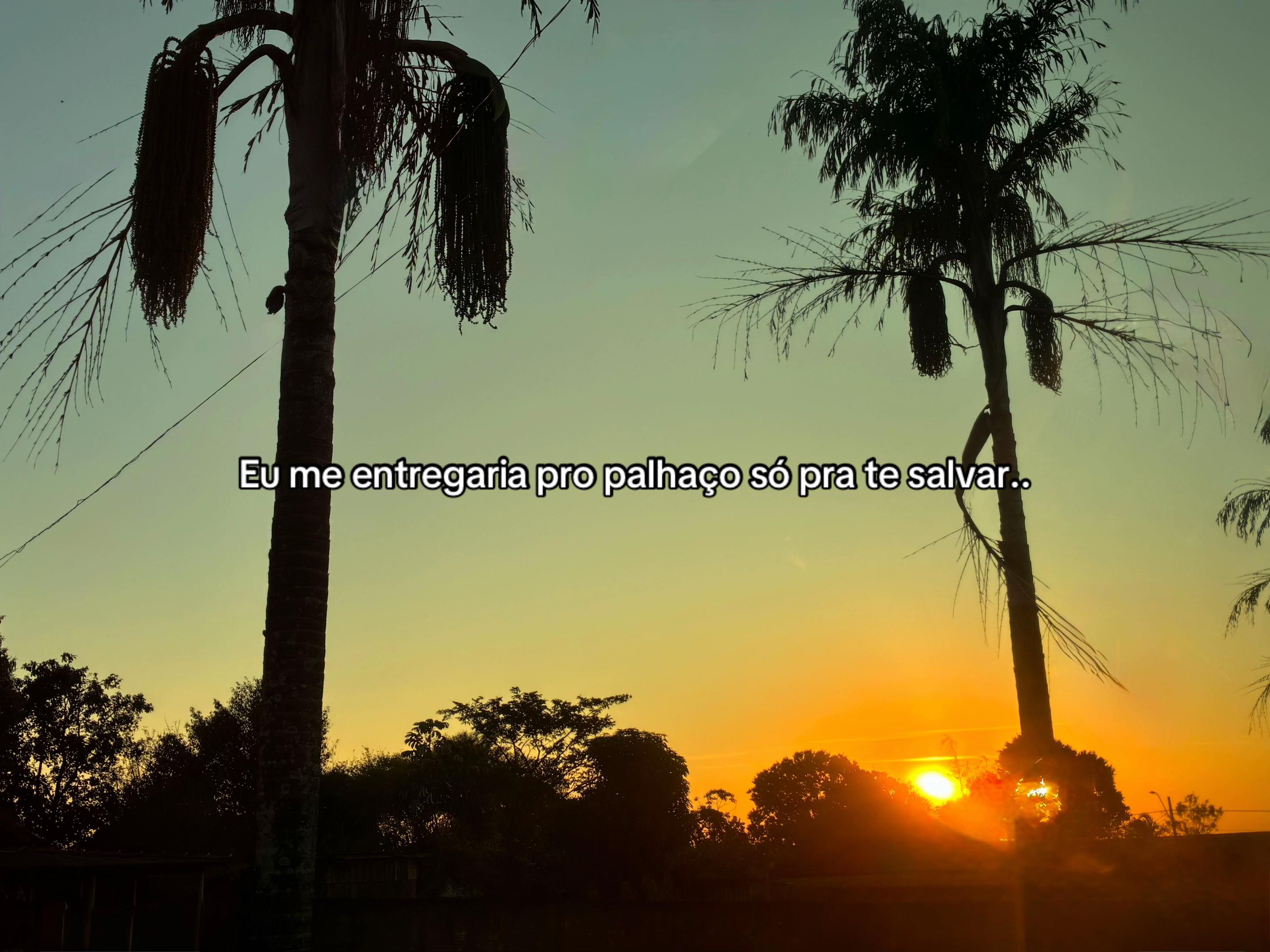 @Lala (Lavínia soulmate) 🥹🫶🏻