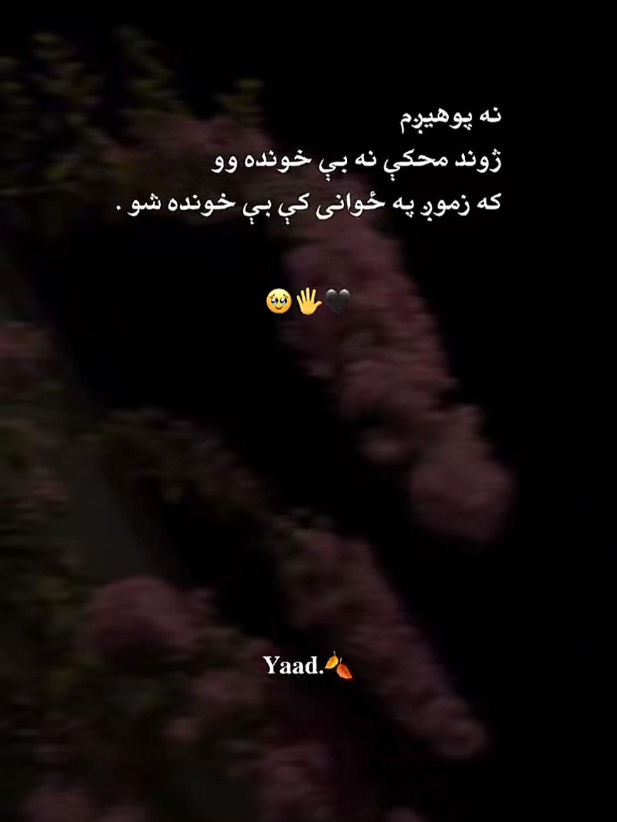 @🇦🇫Khalil 💫