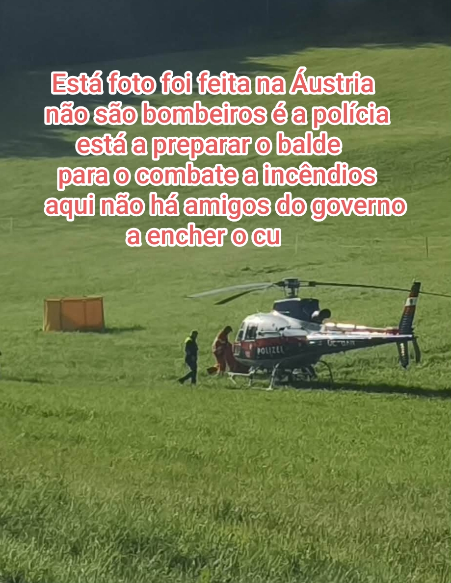 @Mário 1143💪✋🇵🇹