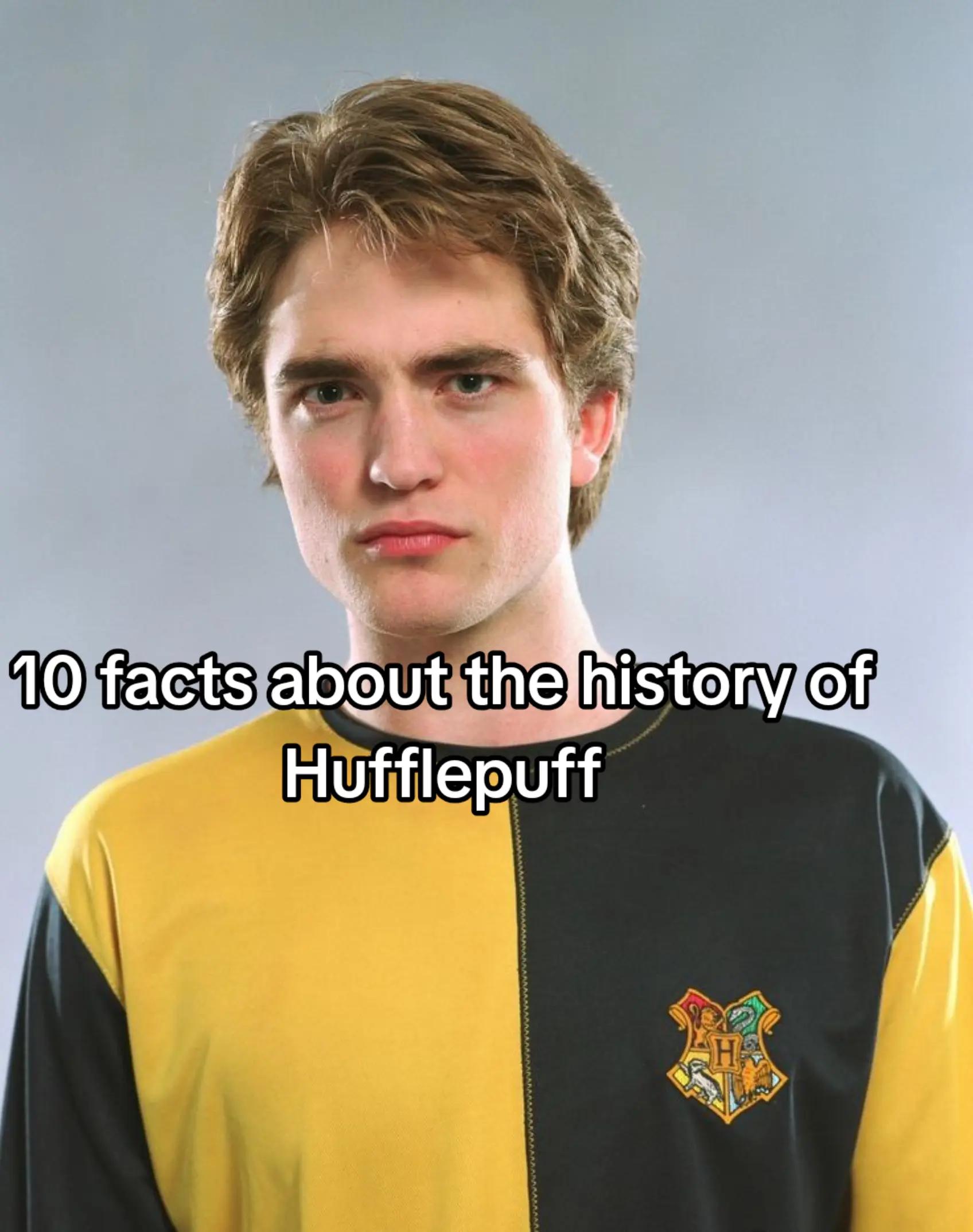 @Gryffindor Boy🦁