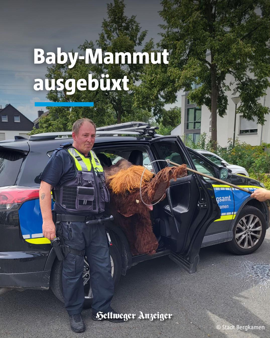 @Hellweger Anzeiger