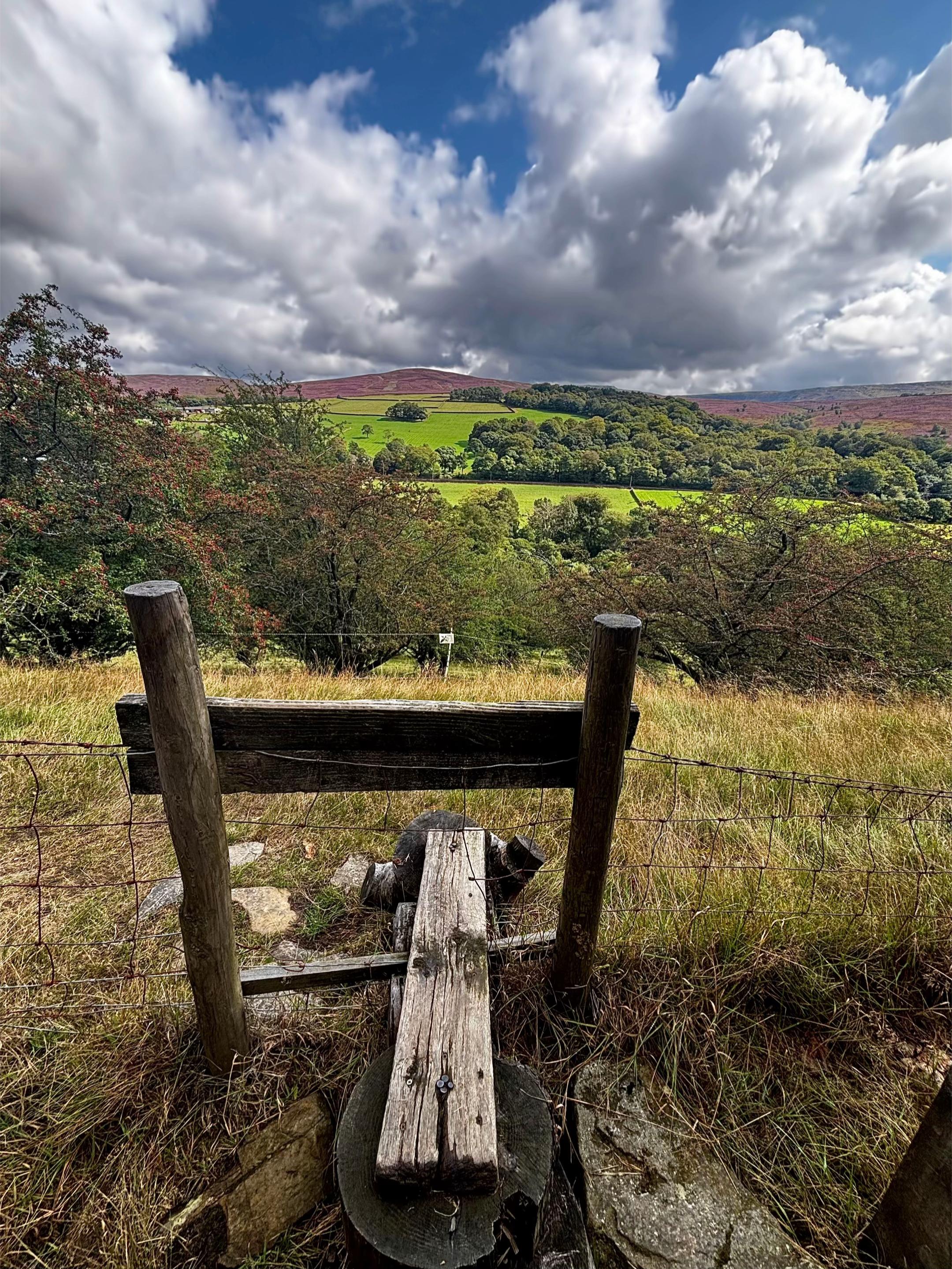 @AdamLinds - Hiking & Outdoors