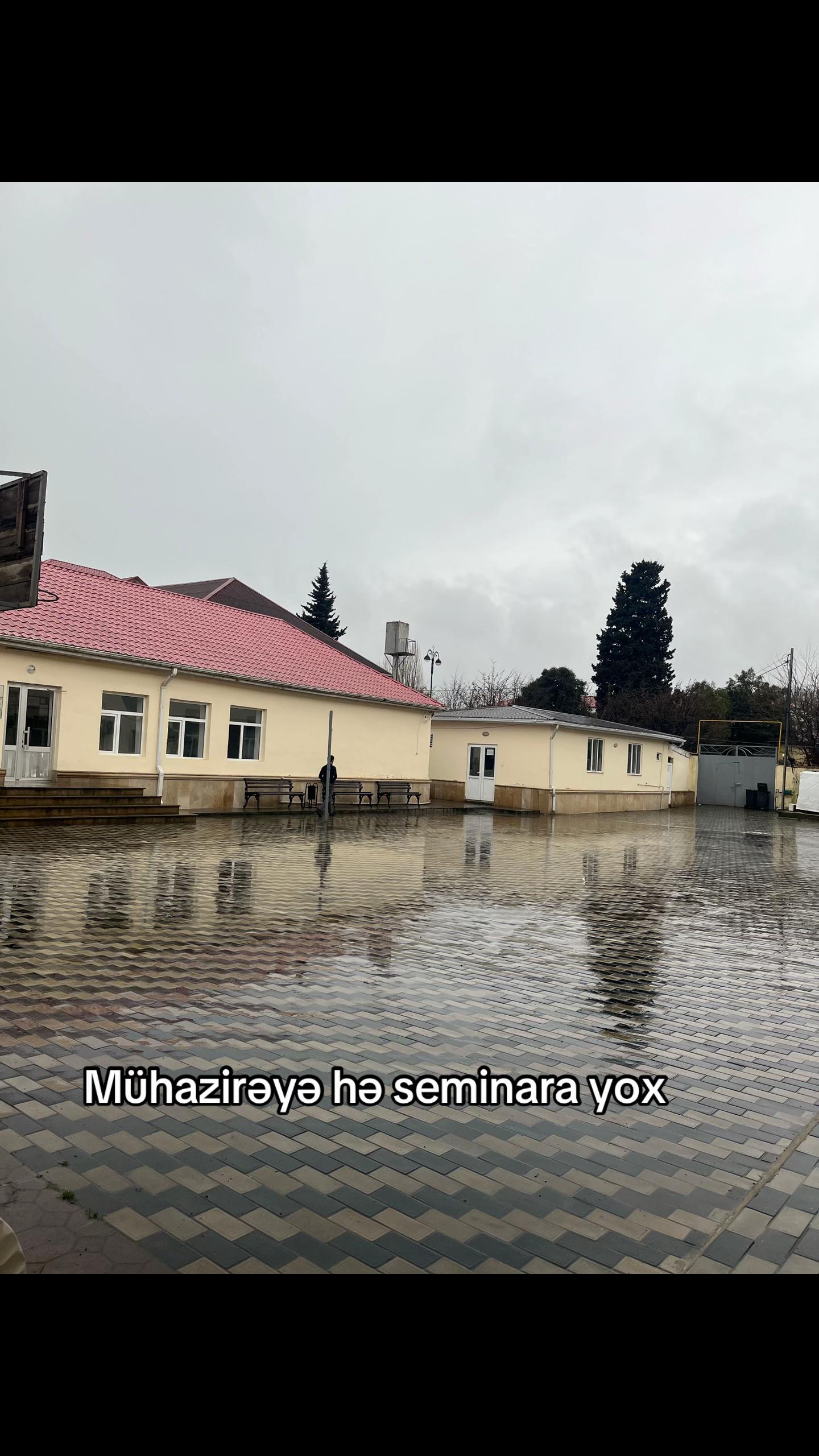 @𝐄𝐥𝐚𝐧𝐚 𝐃𝐨𝐯𝐥𝐚𝐭𝐨𝐯𝐚
