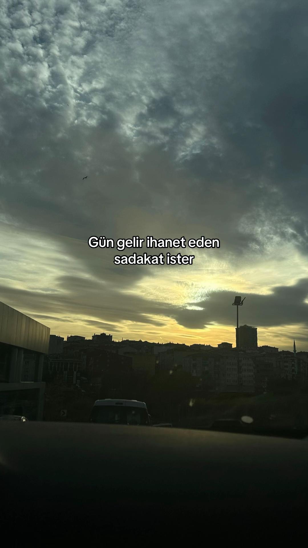 @bluelfida