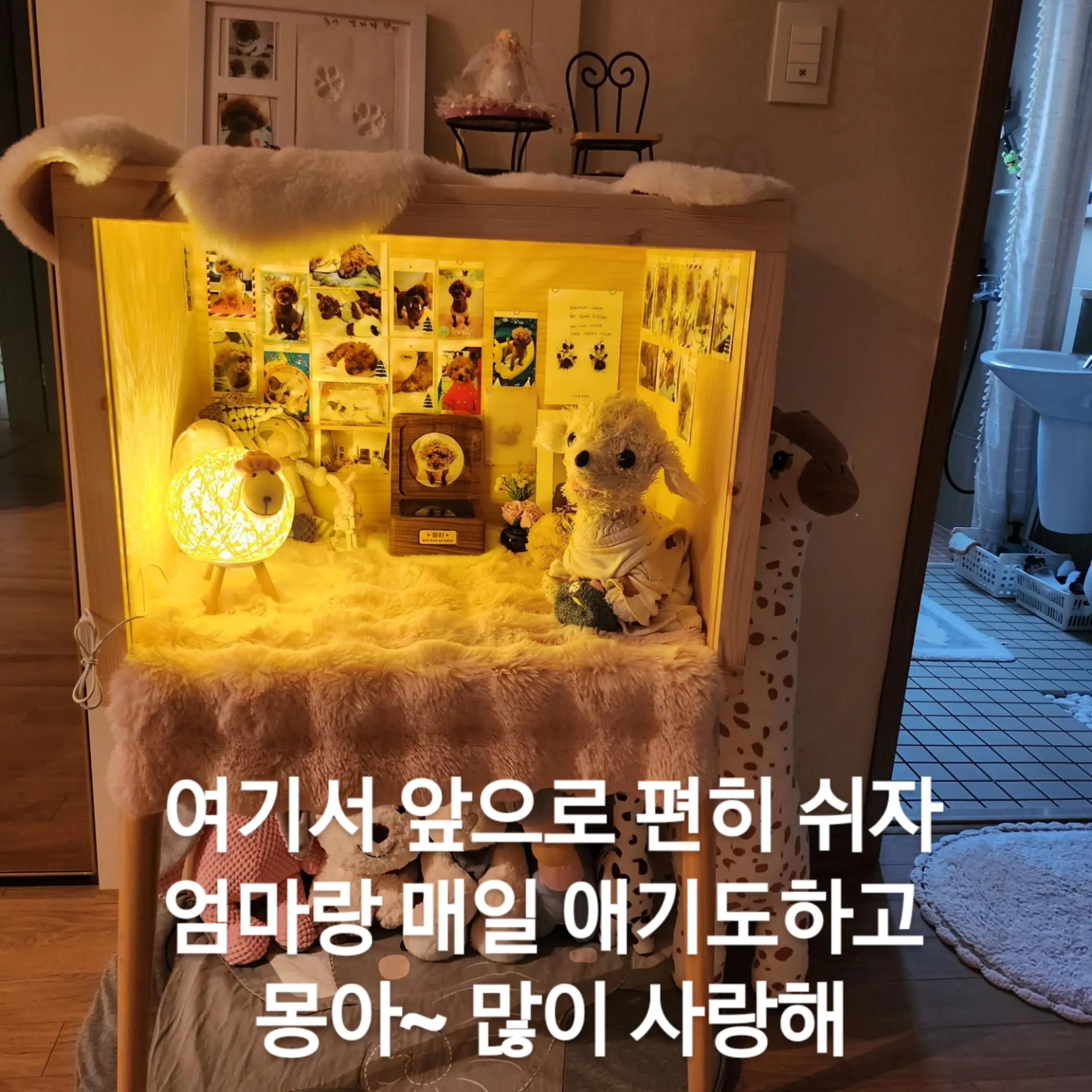 @몽이쒸네~푸들
