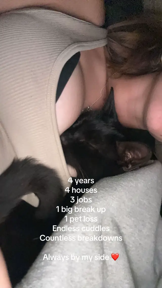 @Nikki 🐾🖤