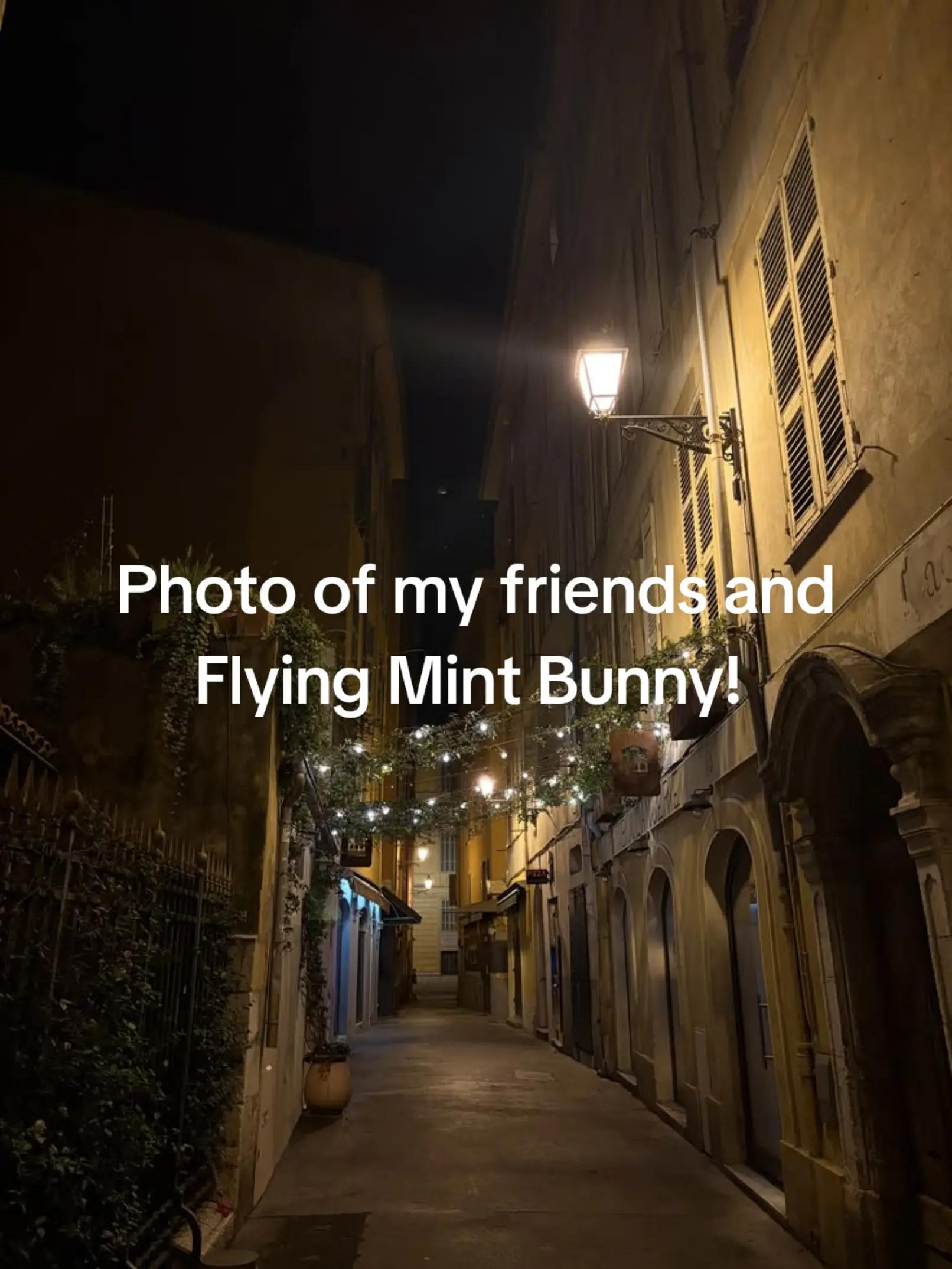 @≫ 🗞️𐌀ɾƚԋυɾ 𐌊ιɾƙʅαɳԃ🇬🇧