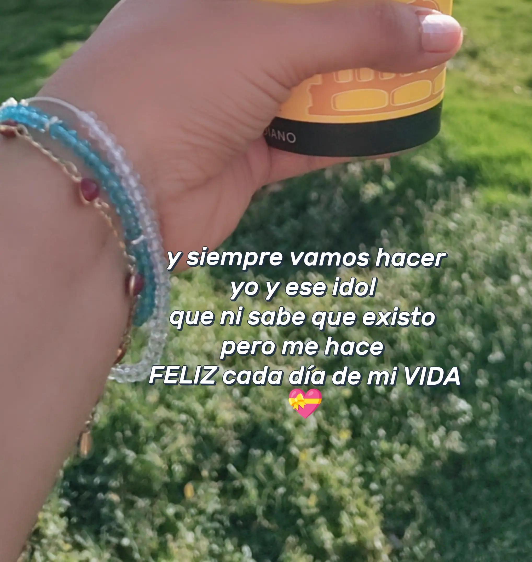 @PaoRM🐨