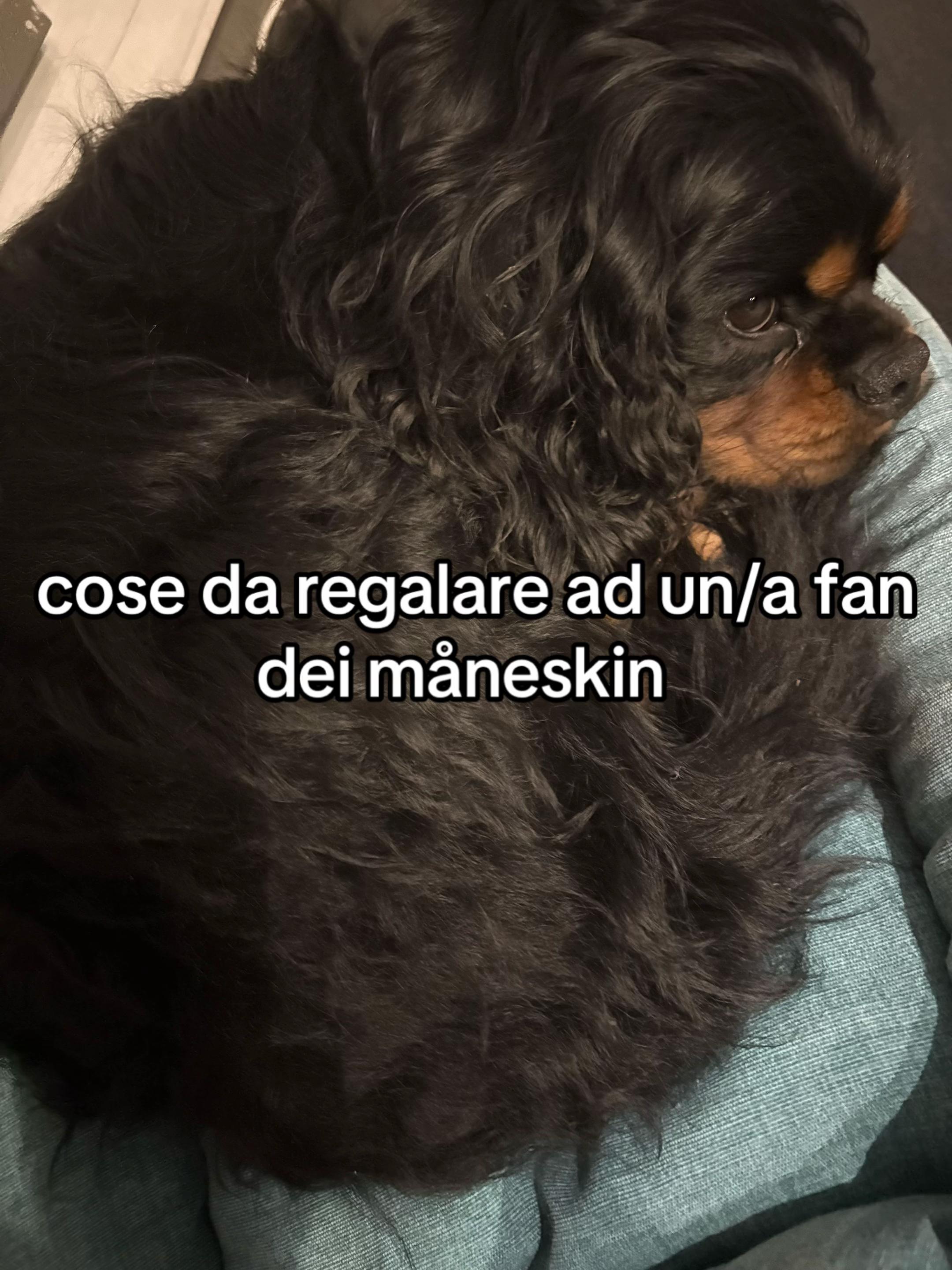 @✨ginevra✨