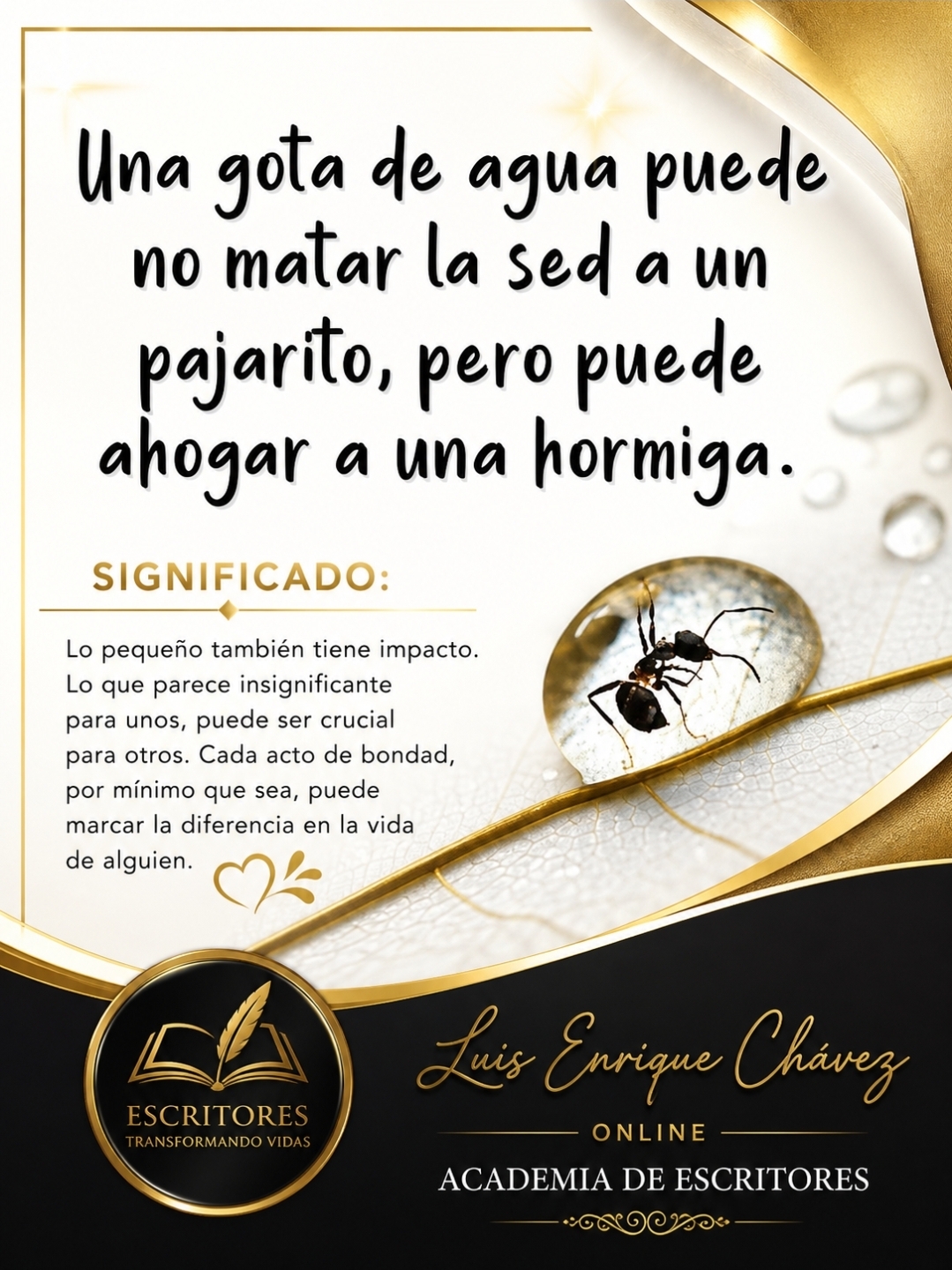 @Luis Enrique Chávez / Mentor