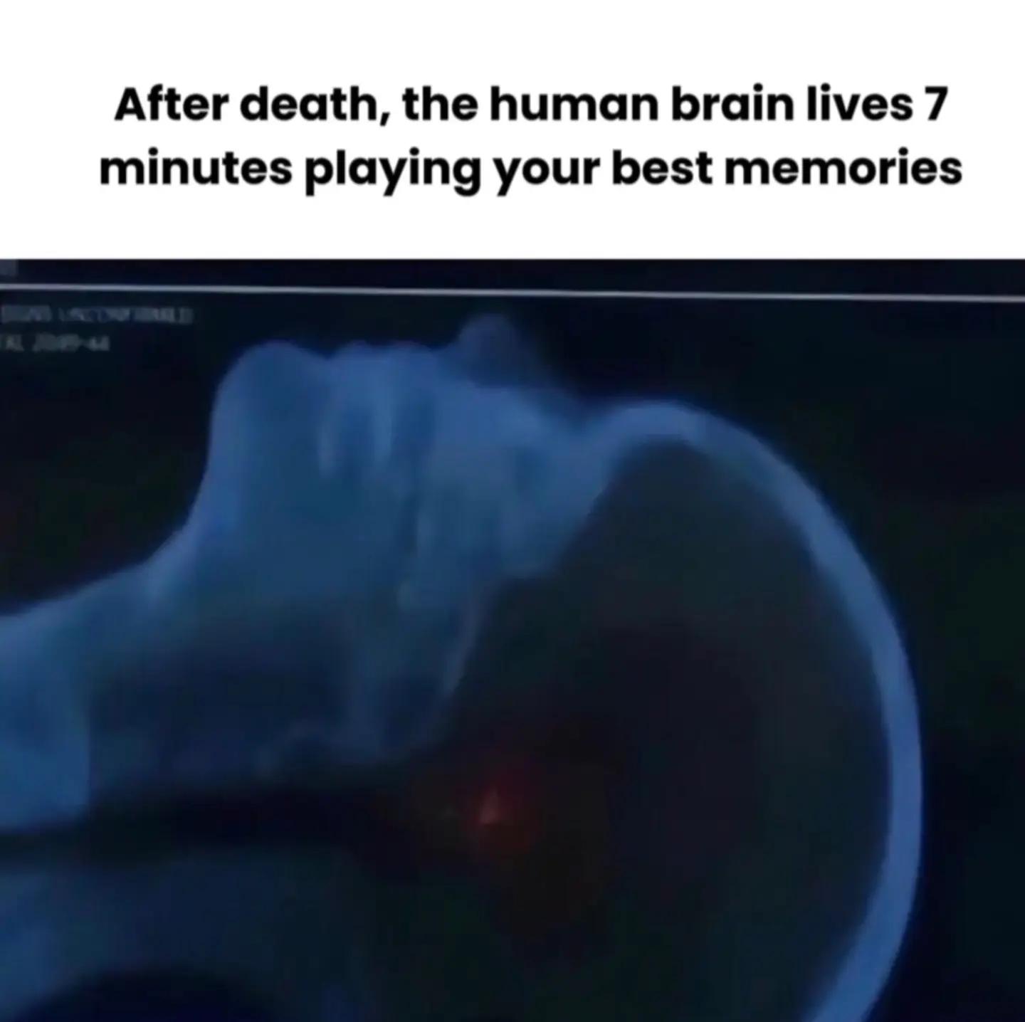 @𝐈𝐚𝐧𝐢𝐬𝐬 🇷🇴