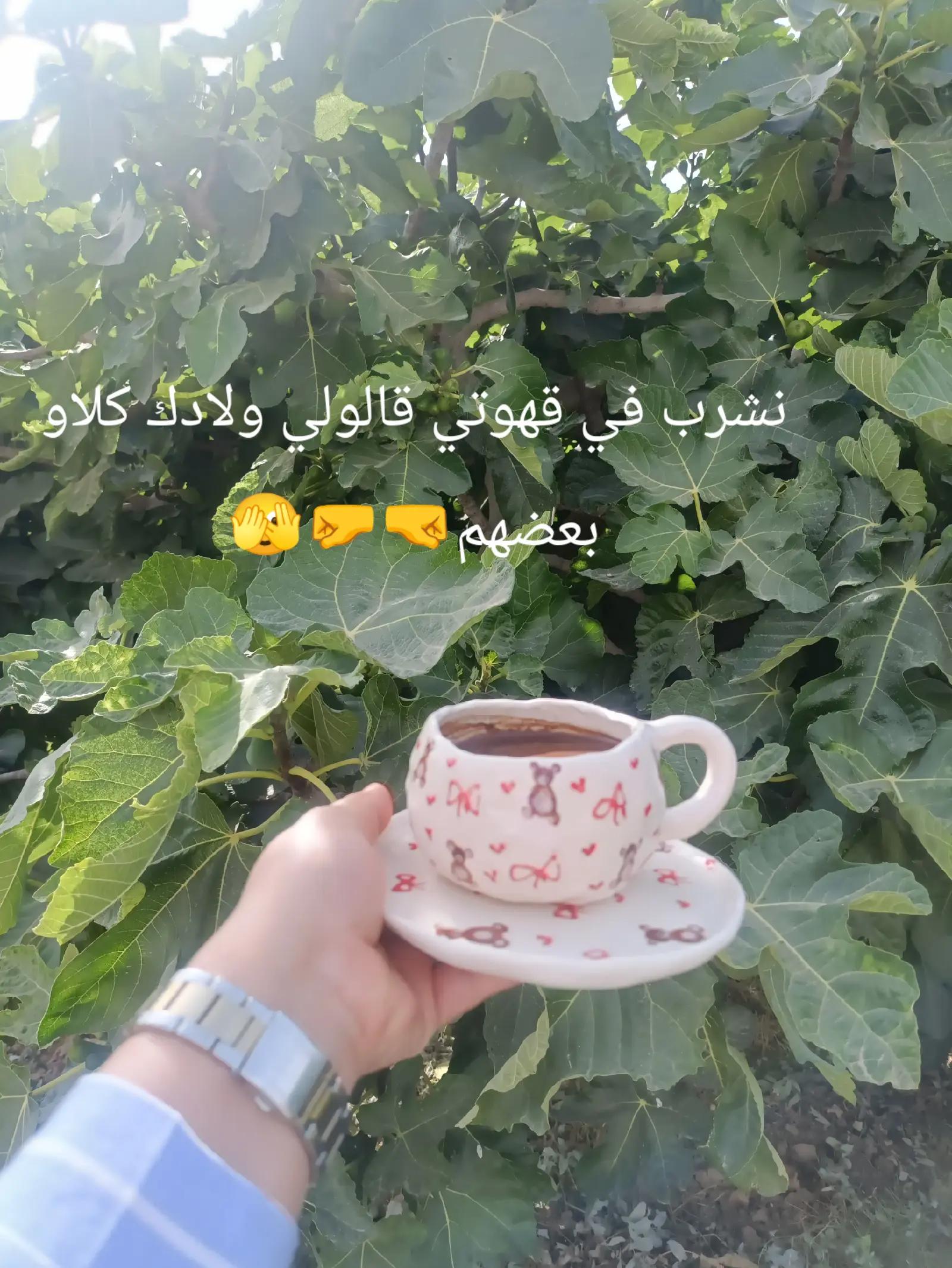 @fatyturki