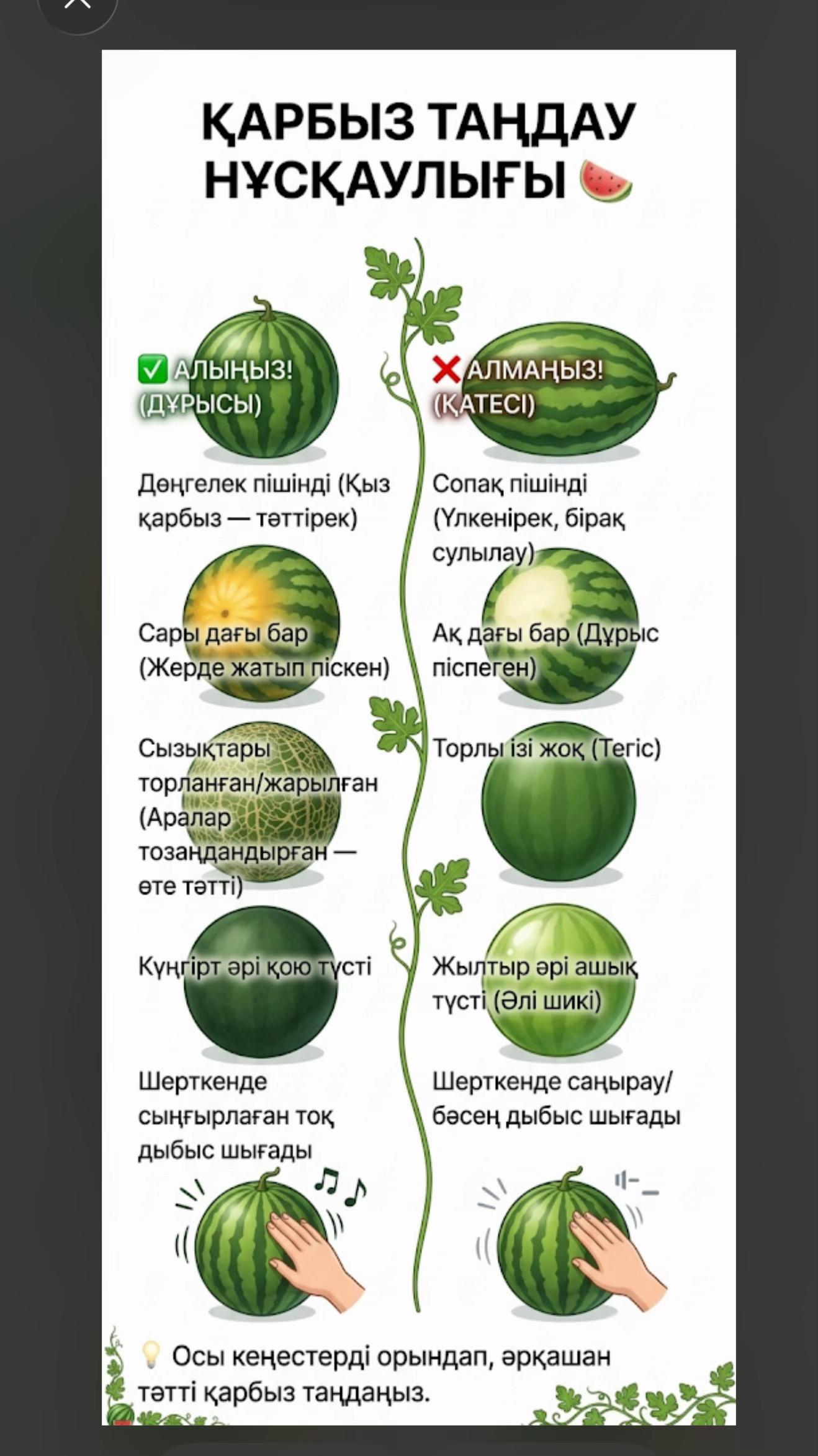@Expert Agro Seeds