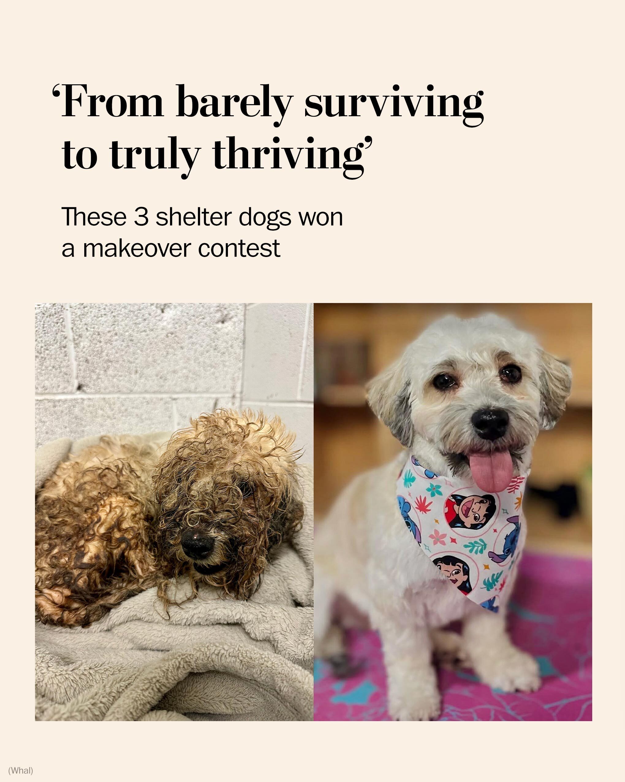 @The Washington Post