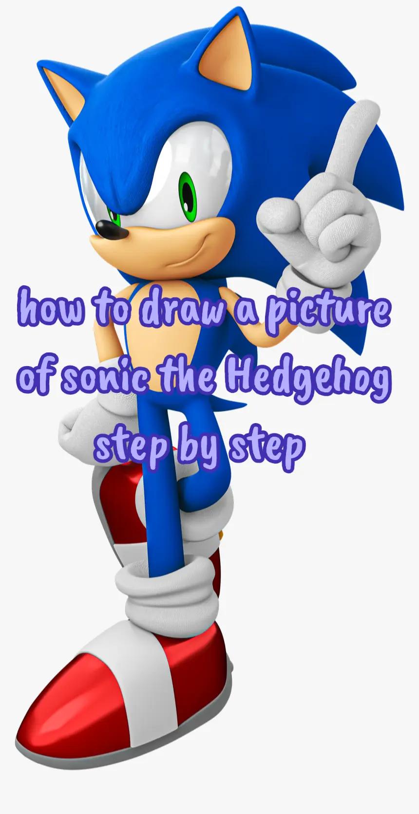 @ðTomboy the Hedgehogð