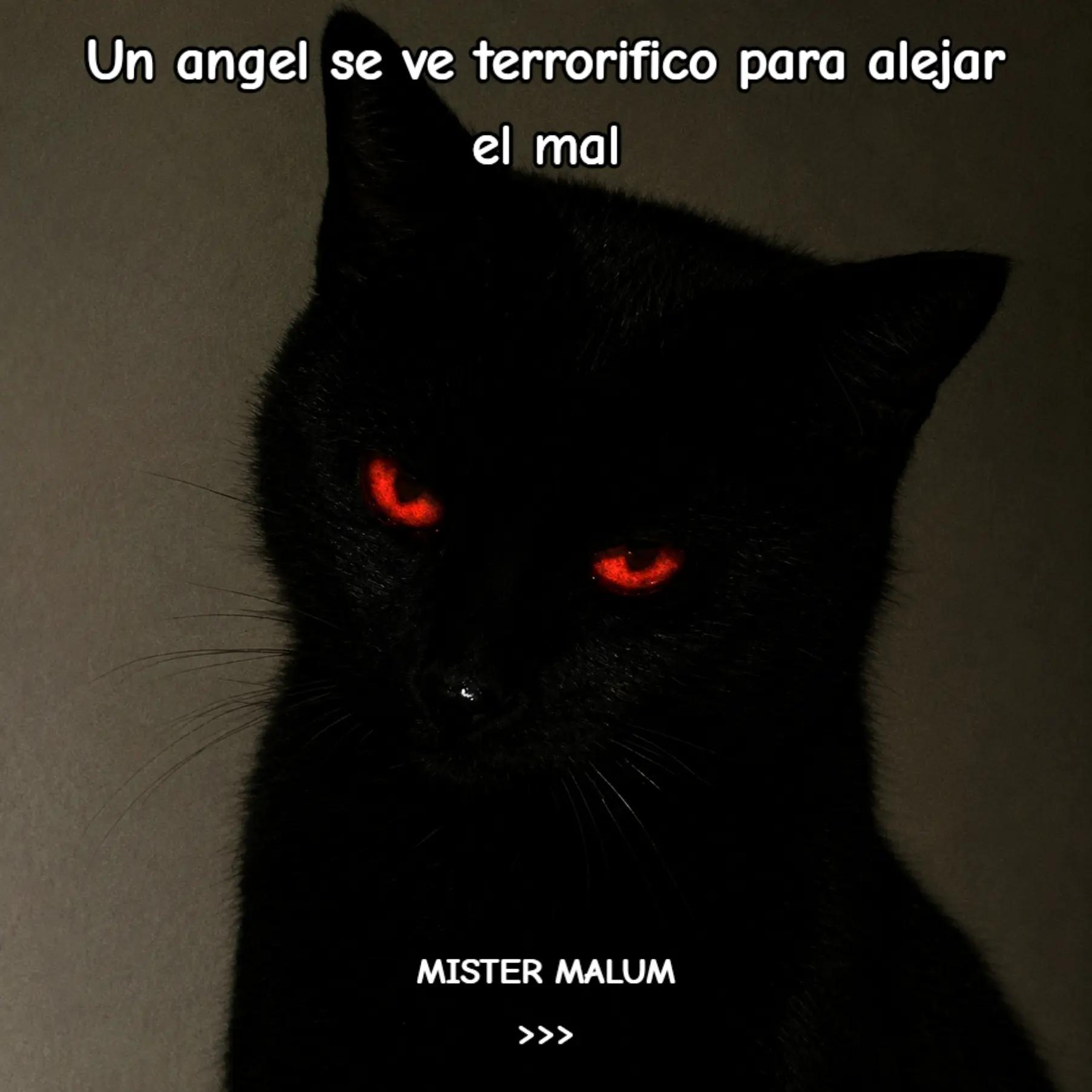 @"WALTER EL CAMERAMAN"