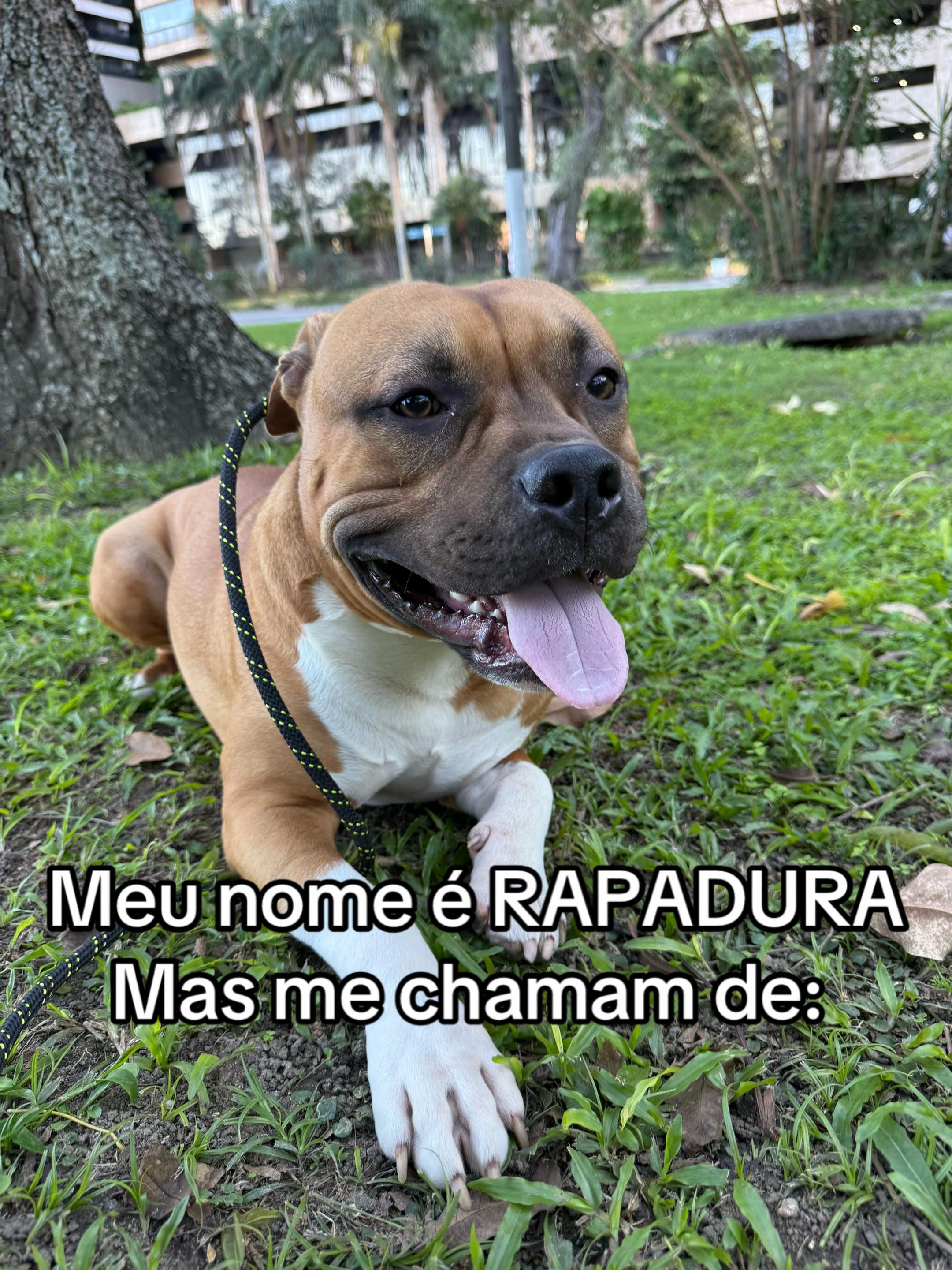 @Hanan&Rapadurabully