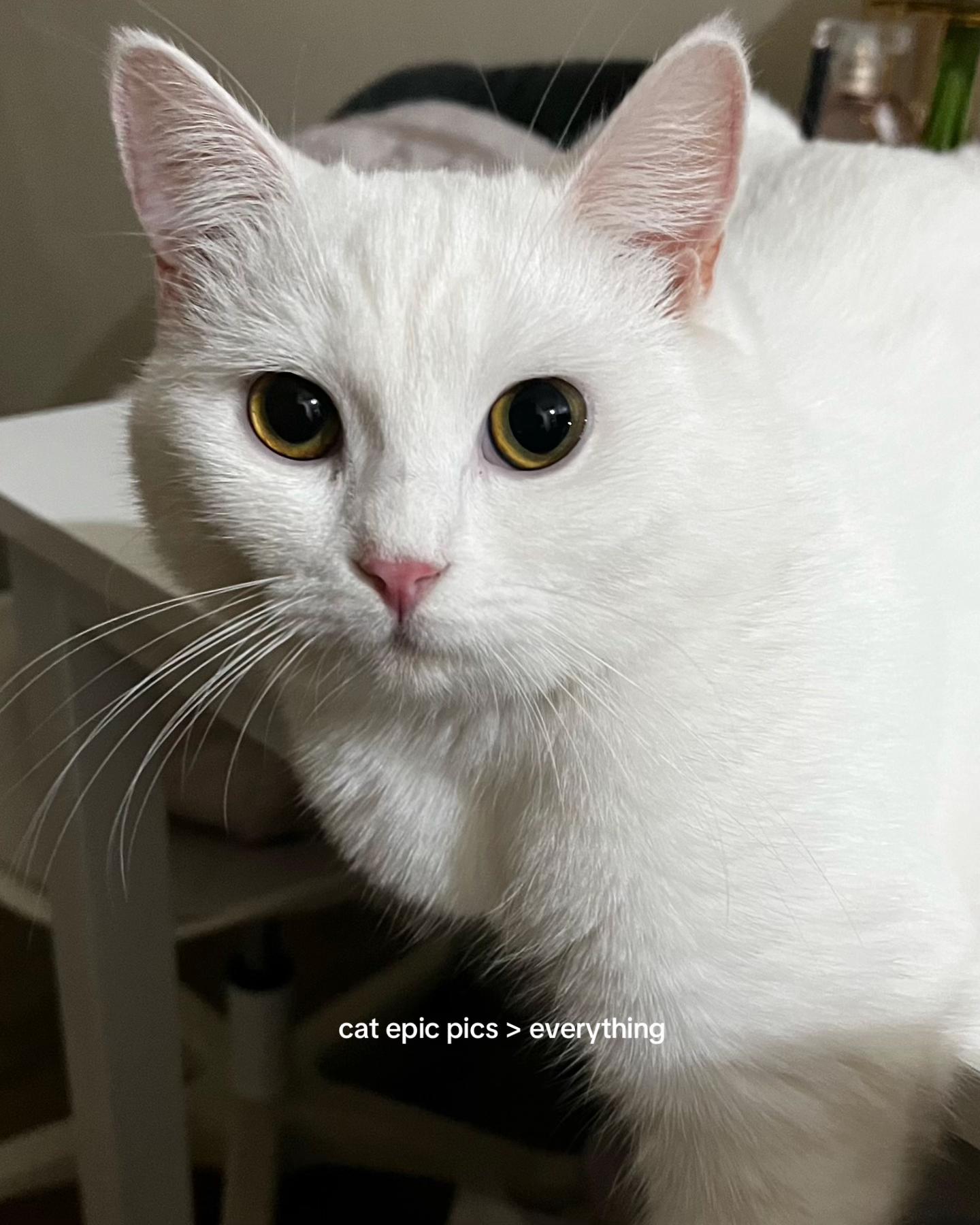 @✮