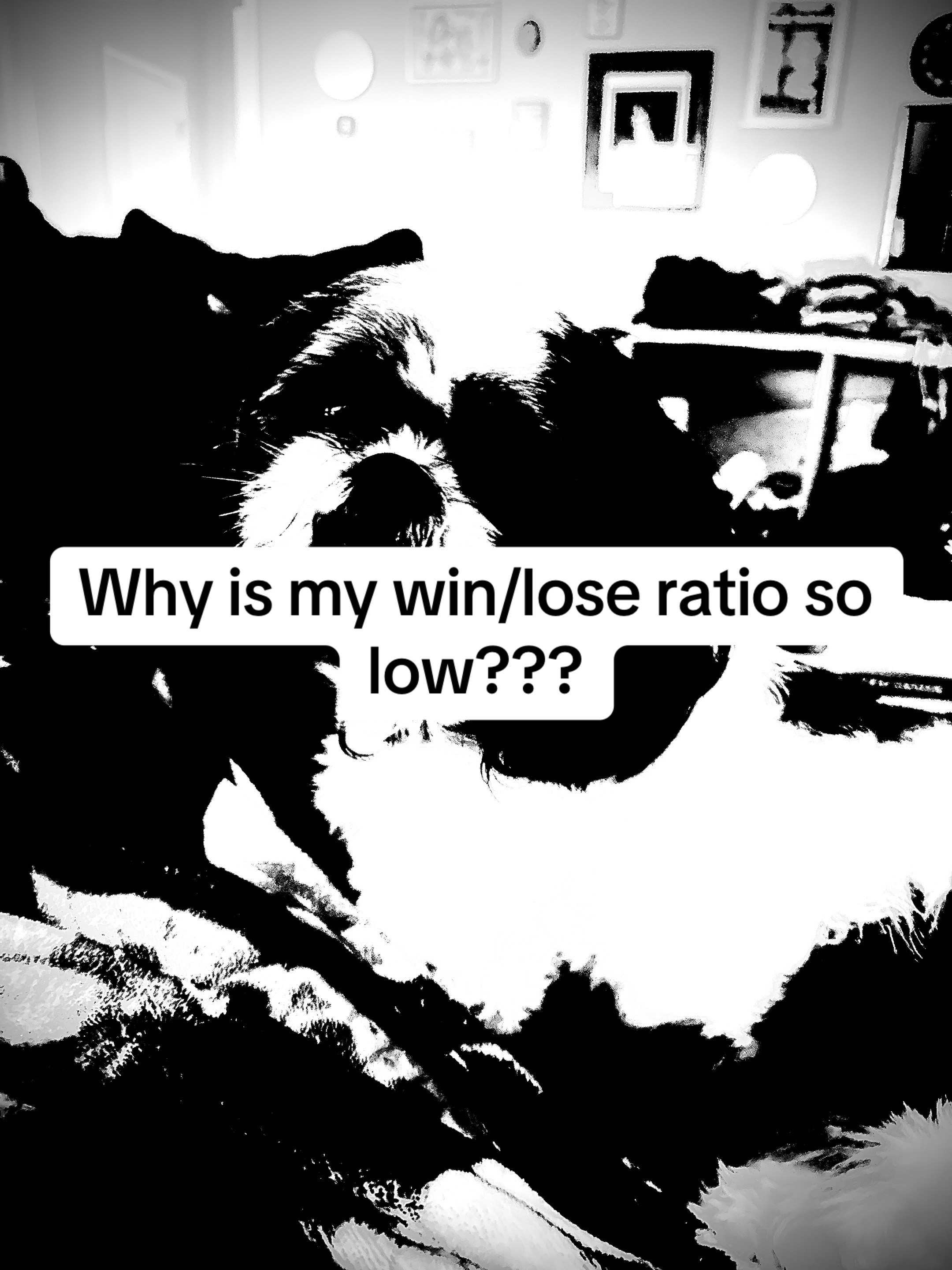 @singualrity