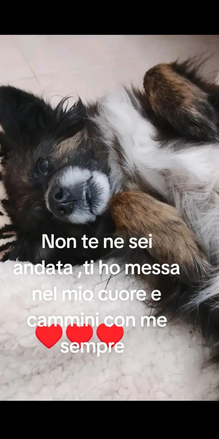 @Angela74