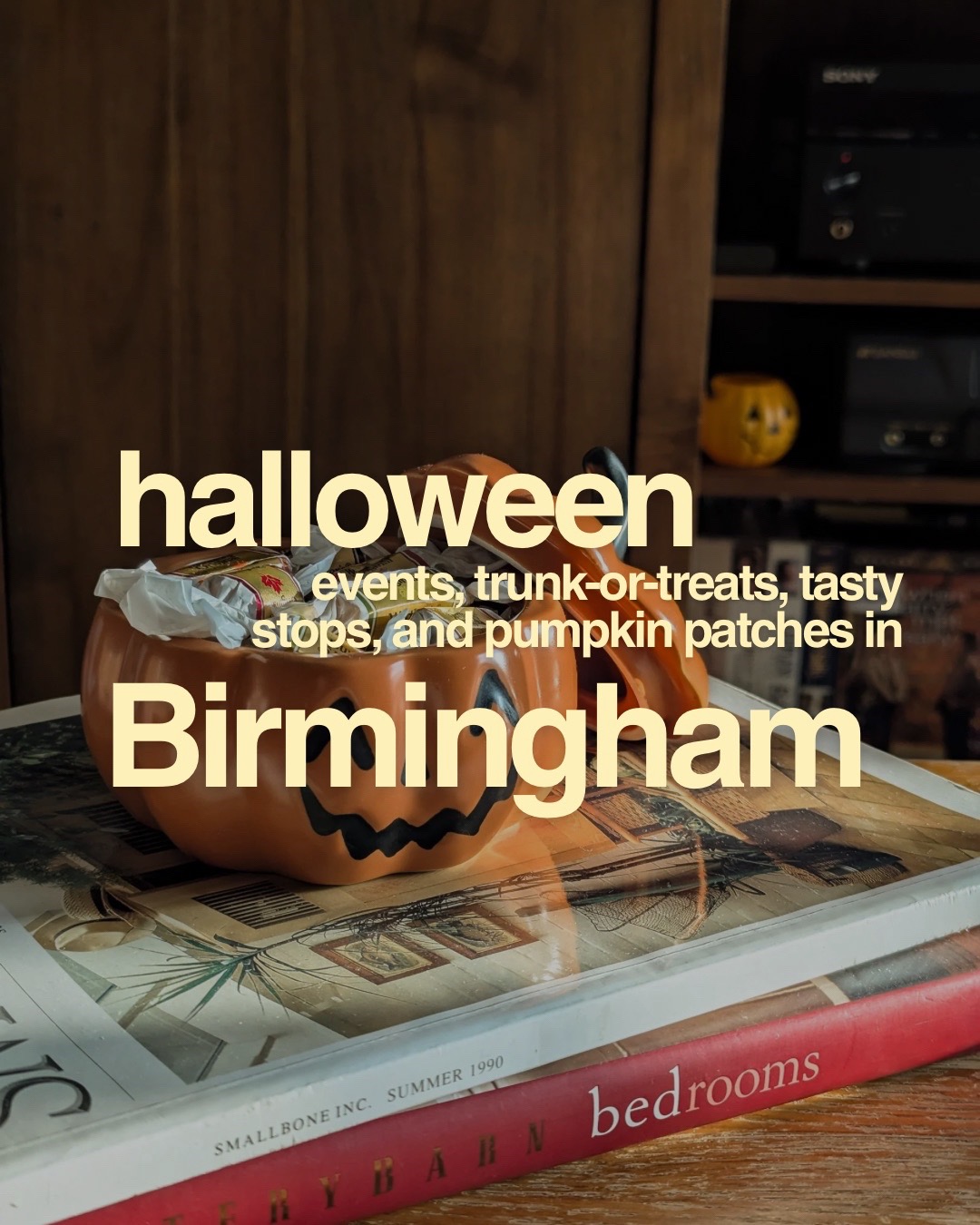 @Birmingham Realtor | Adam Snow