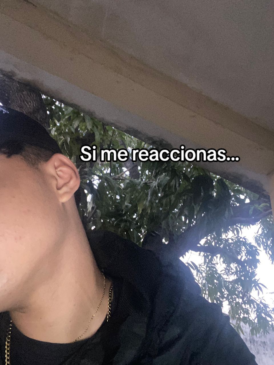 @Alphonse Mictil