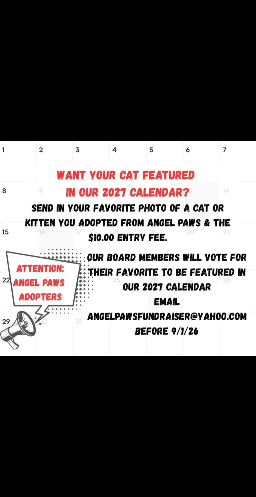 @Angel PAWS