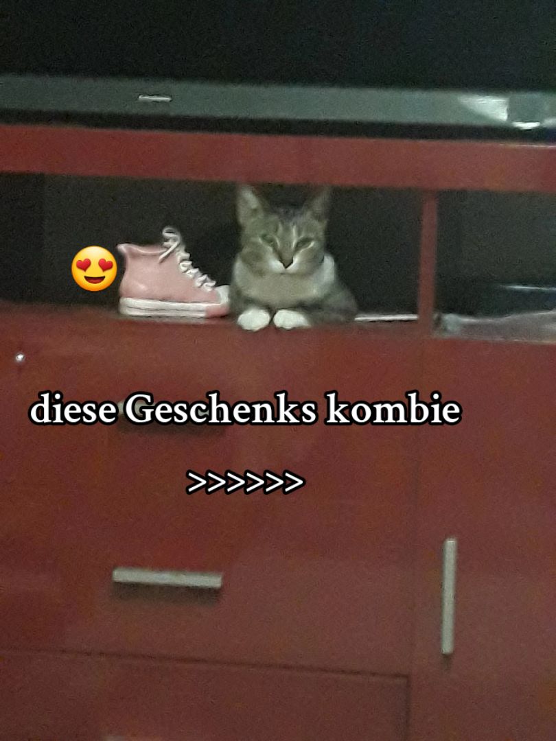 @𝐕 𝐚 𝐥 𝐥 𝐞 𝐧 𝐭 𝐢 𝐧 𝐚