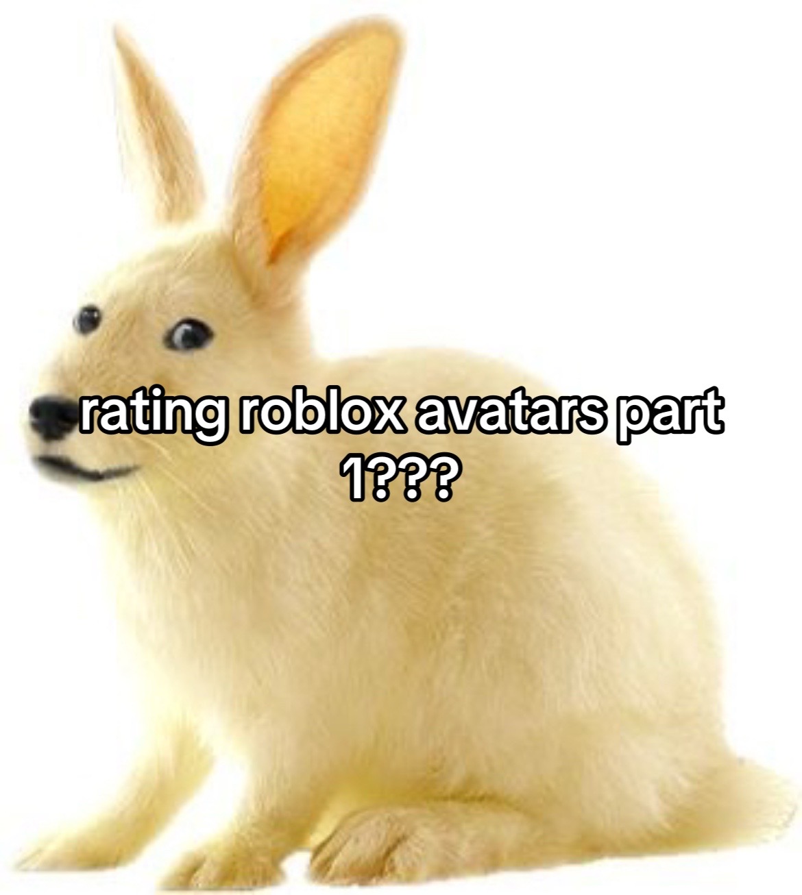 @kris