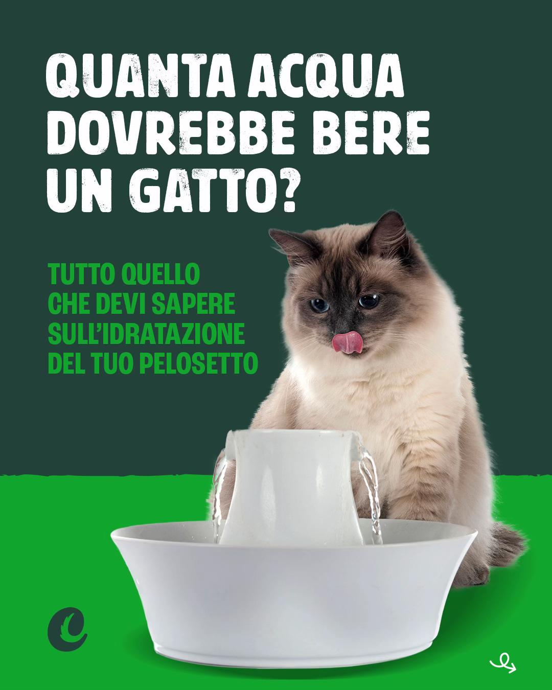 @Ciuffi