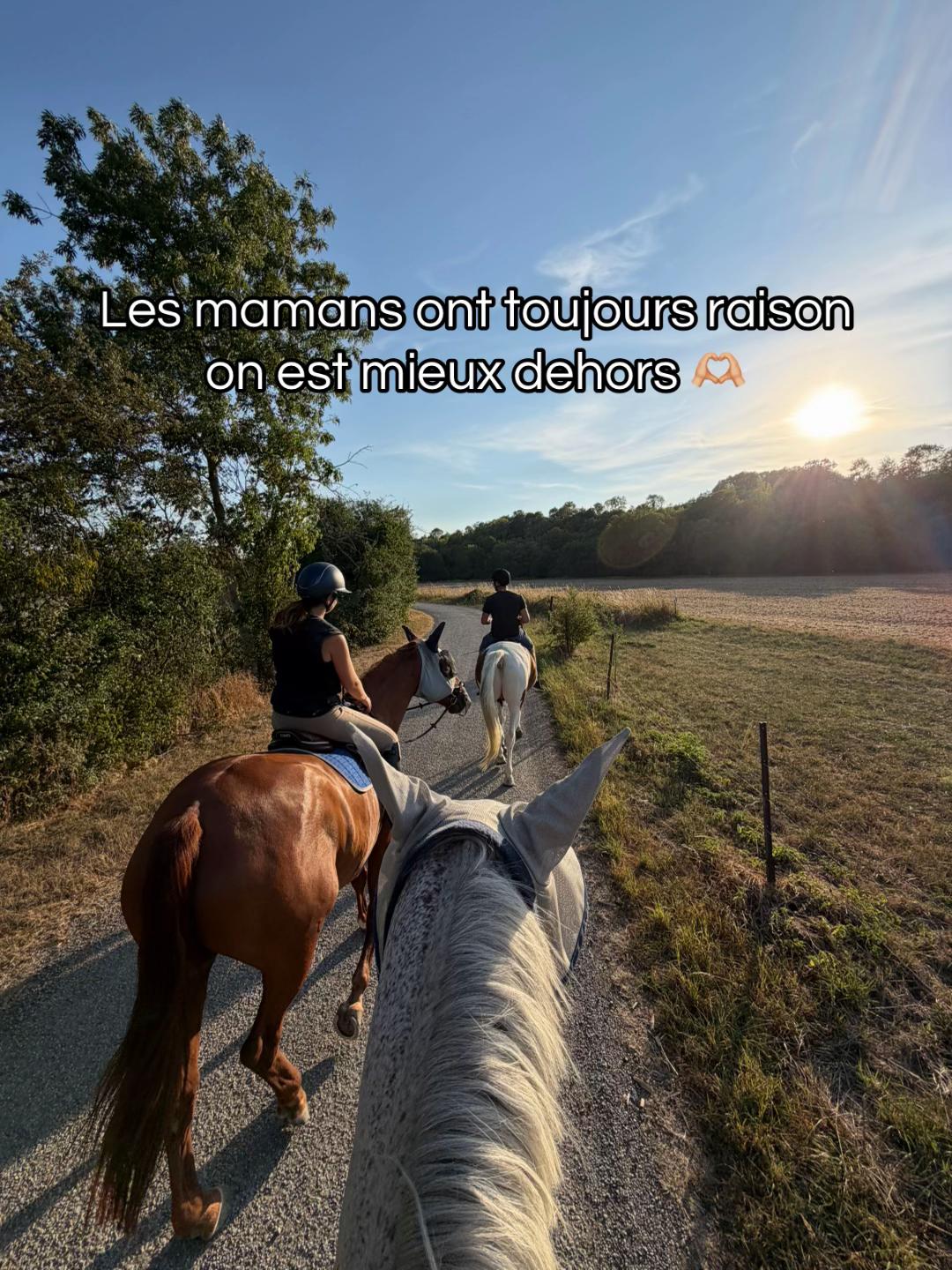 @Cavalière de Grand Pré 🎠