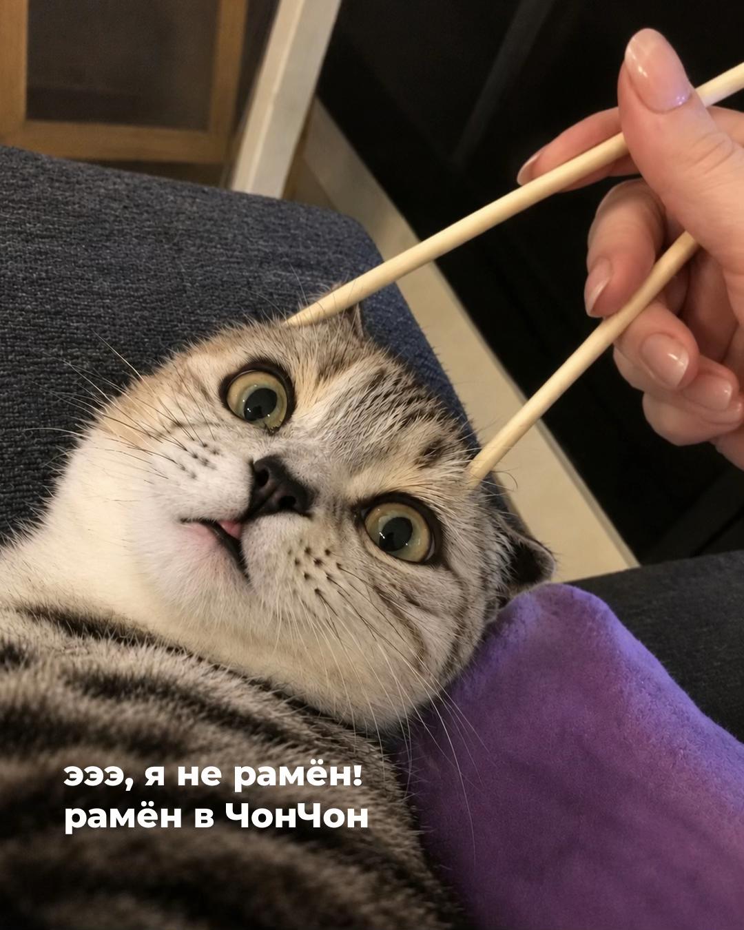@chonchon_ramen