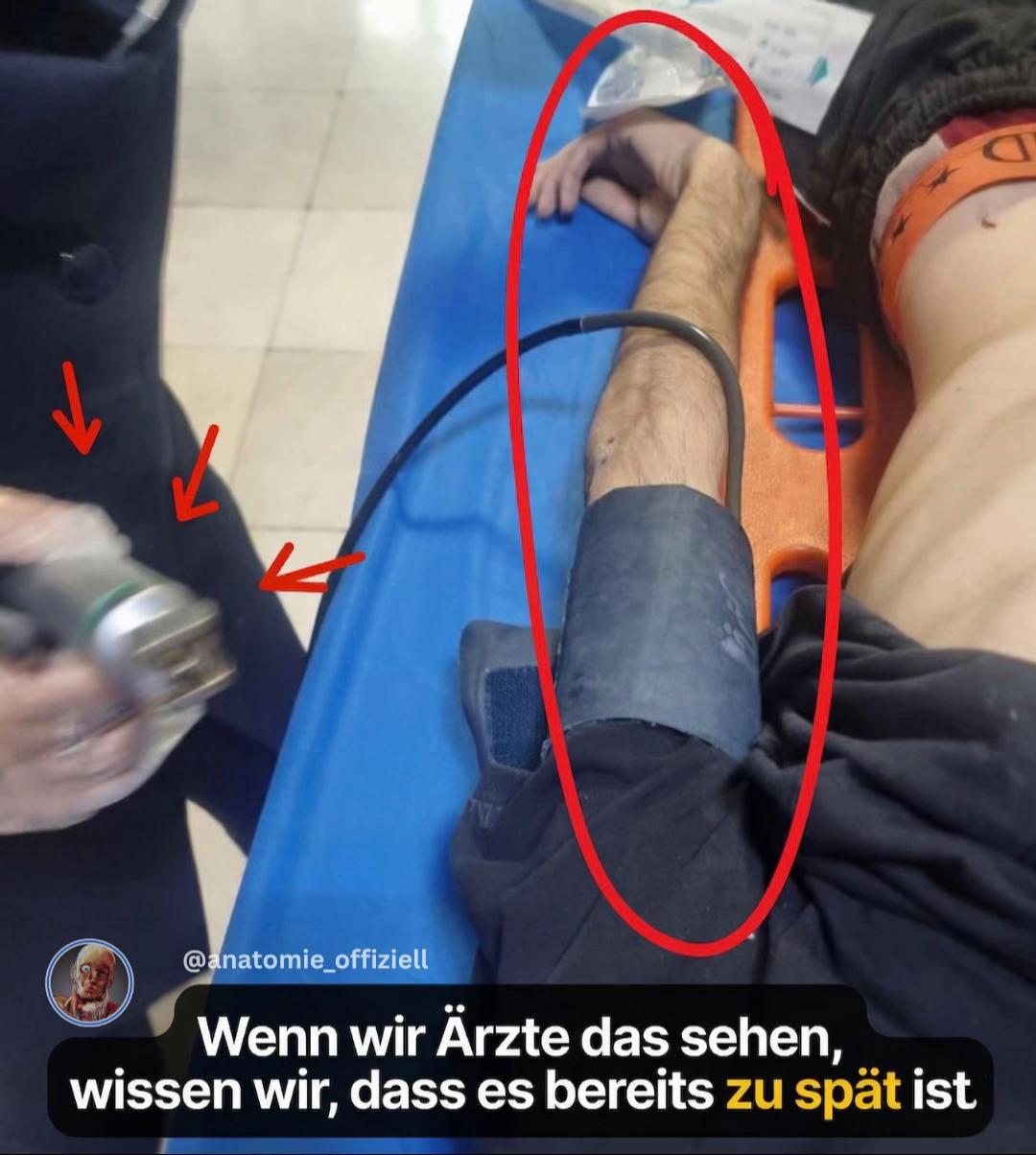 @Anatomie