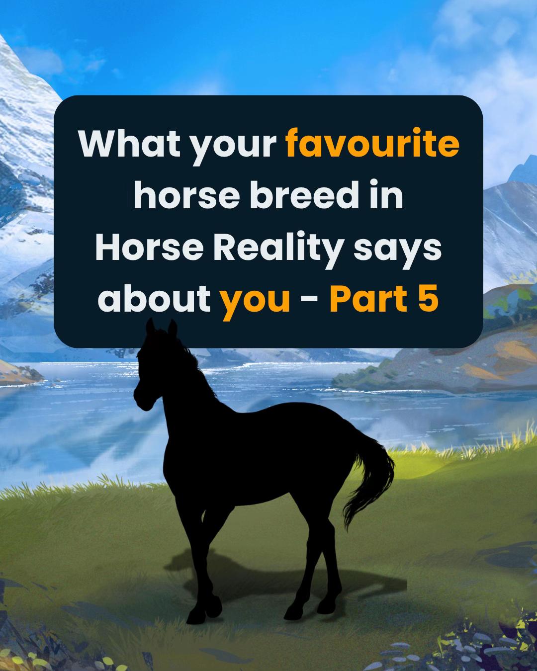 @Horse Reality