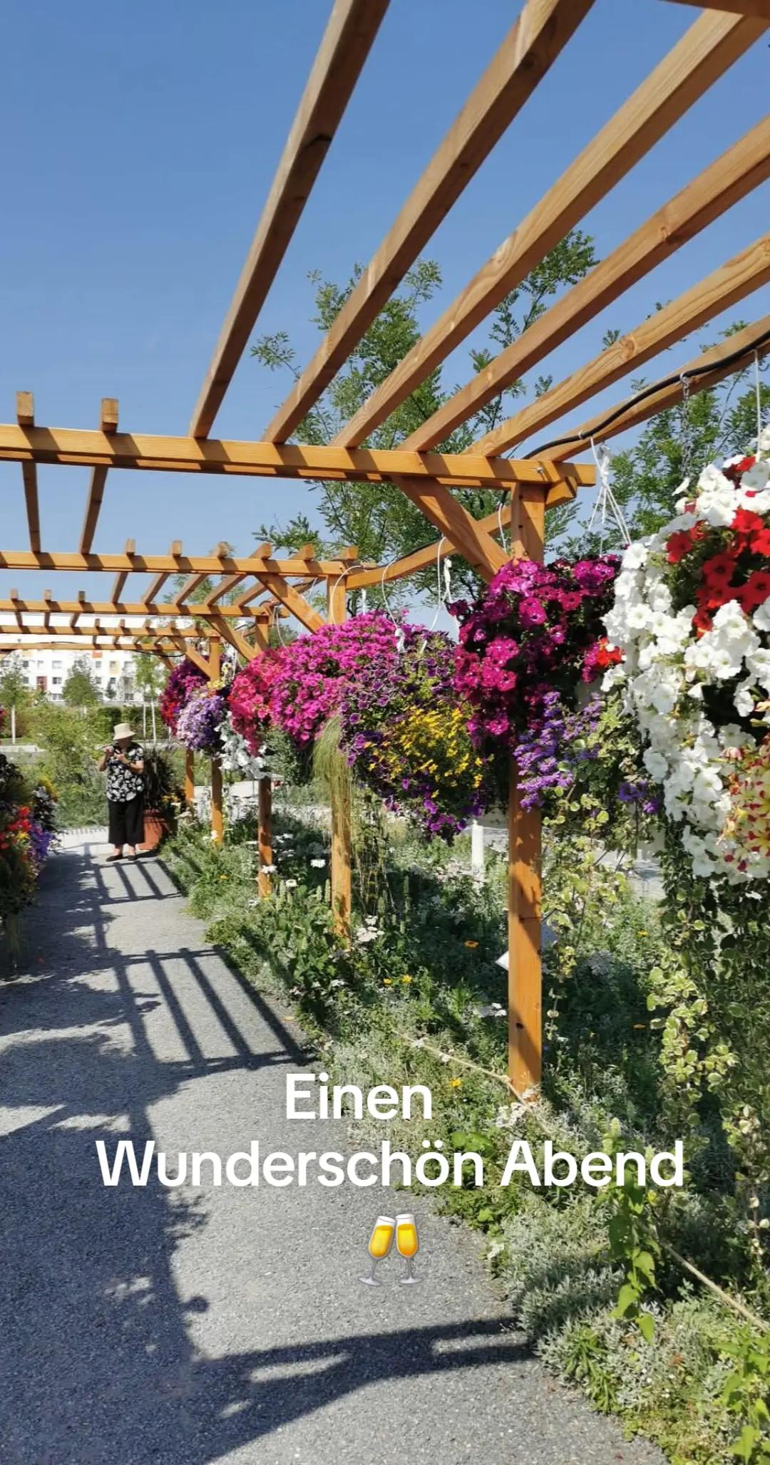 @Ellen