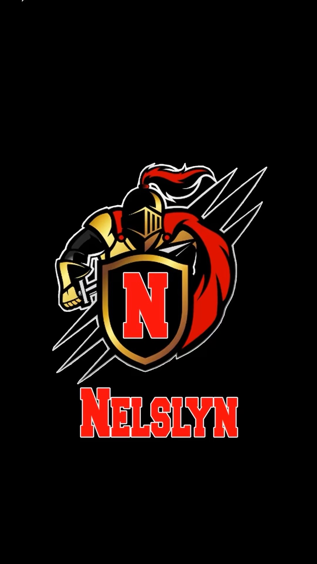 @nelsonhh24