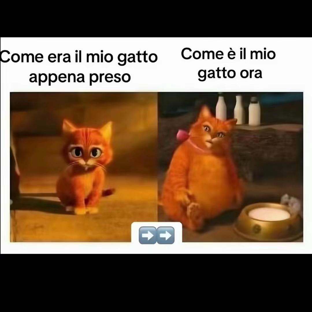 @Adelepzz