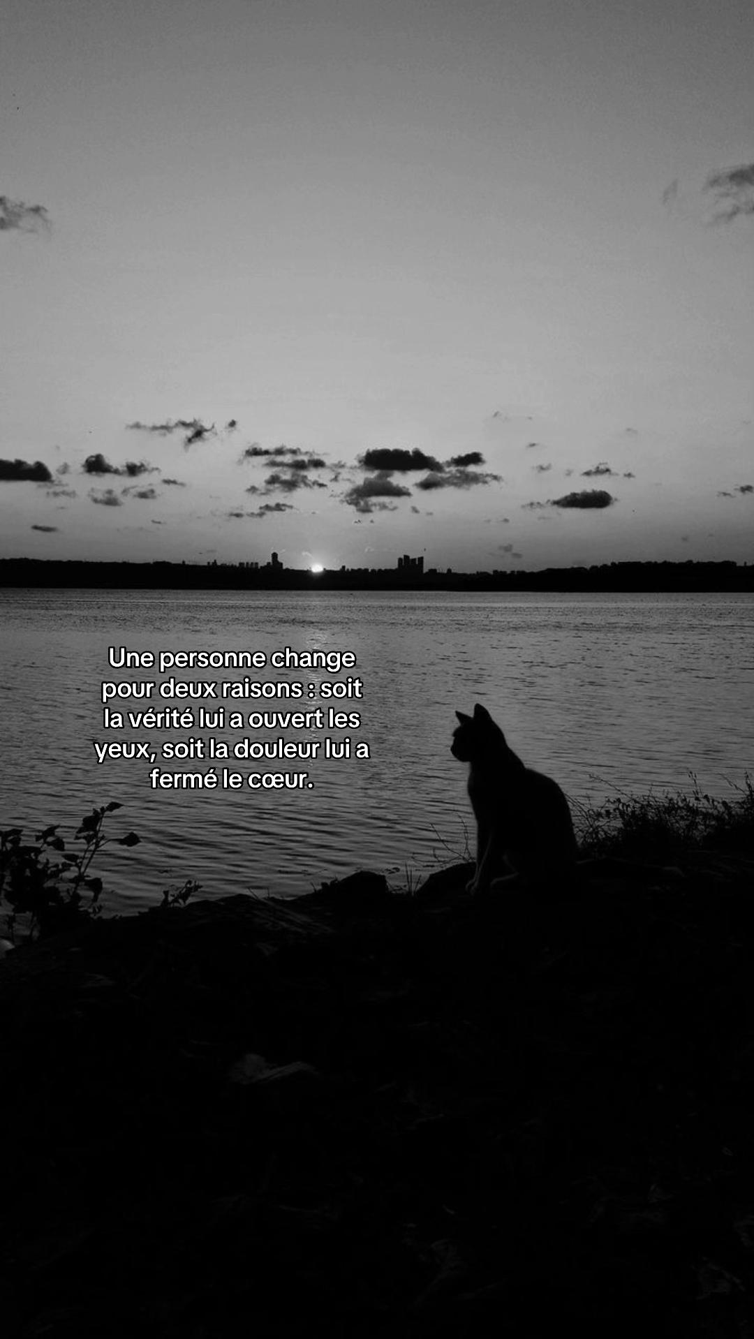 @Cœur Noir