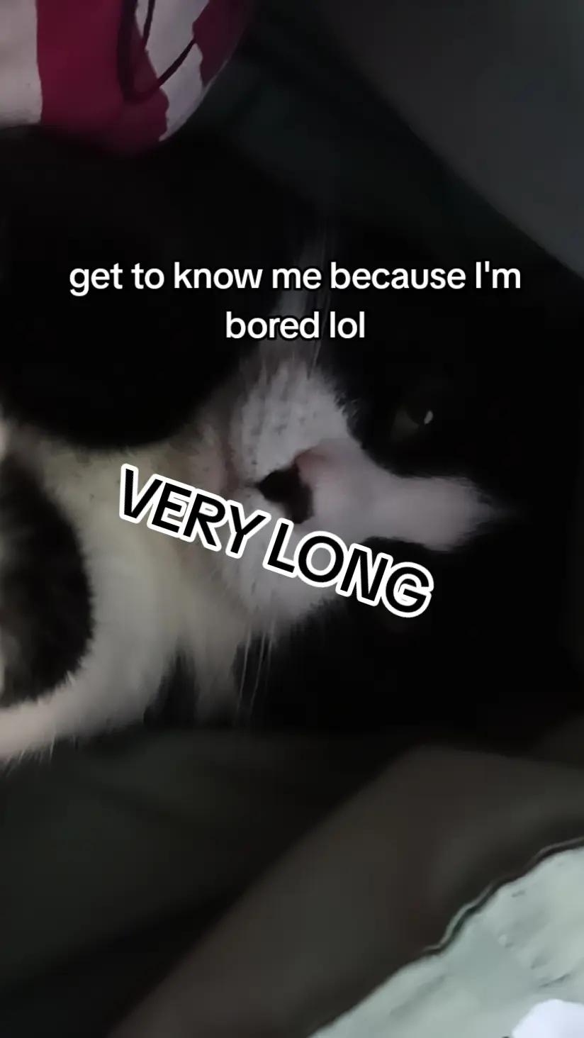 @bobba