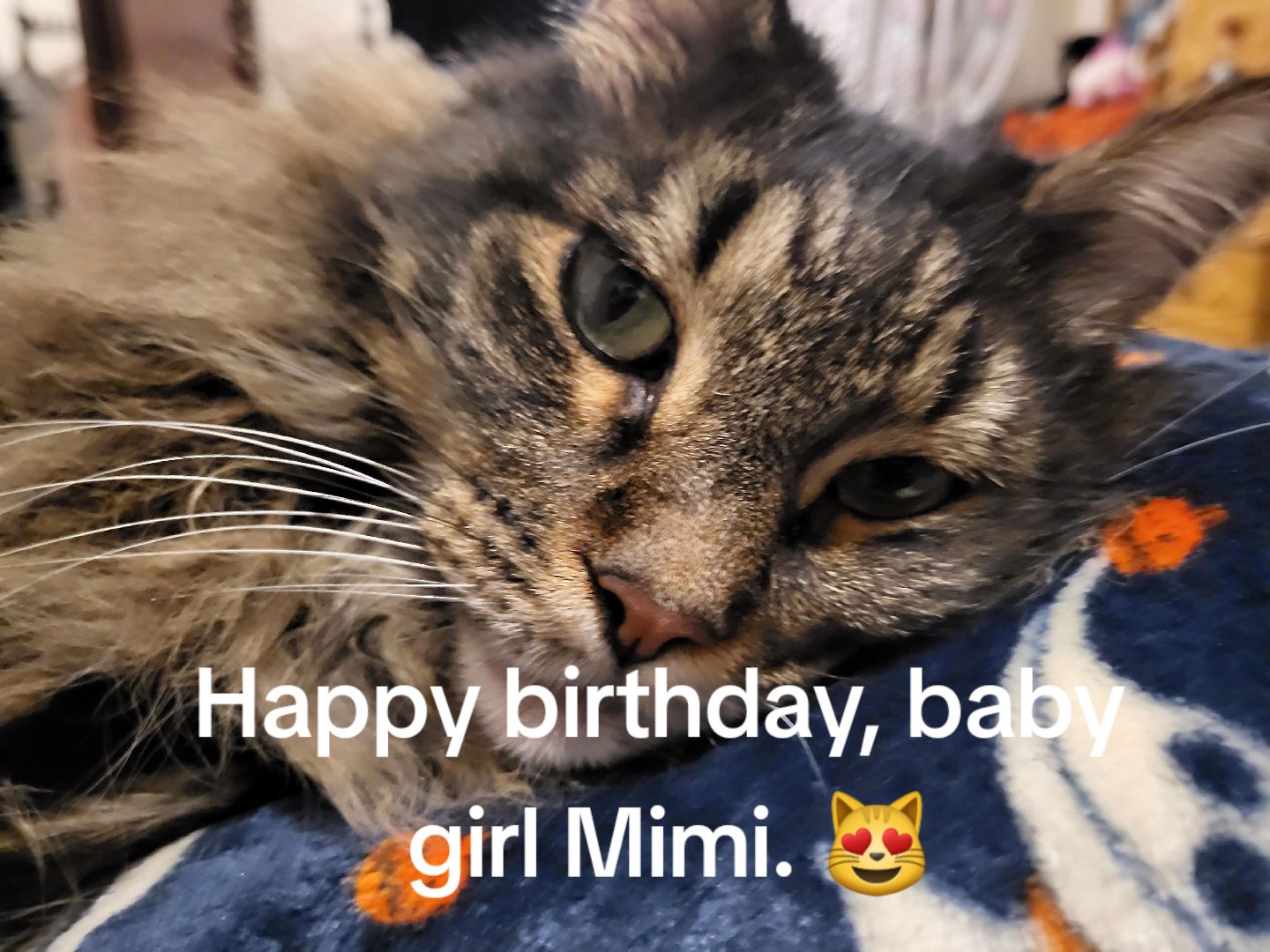 @mimielliot