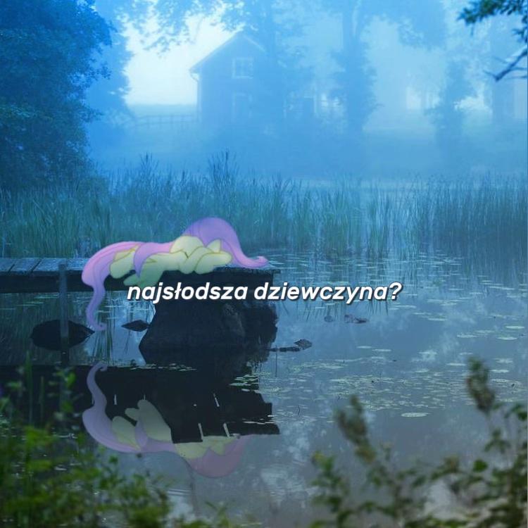 @𝑳𝒊𝒍𝒚 𝑴𝒂𝒍𝒇𝒐𝒚