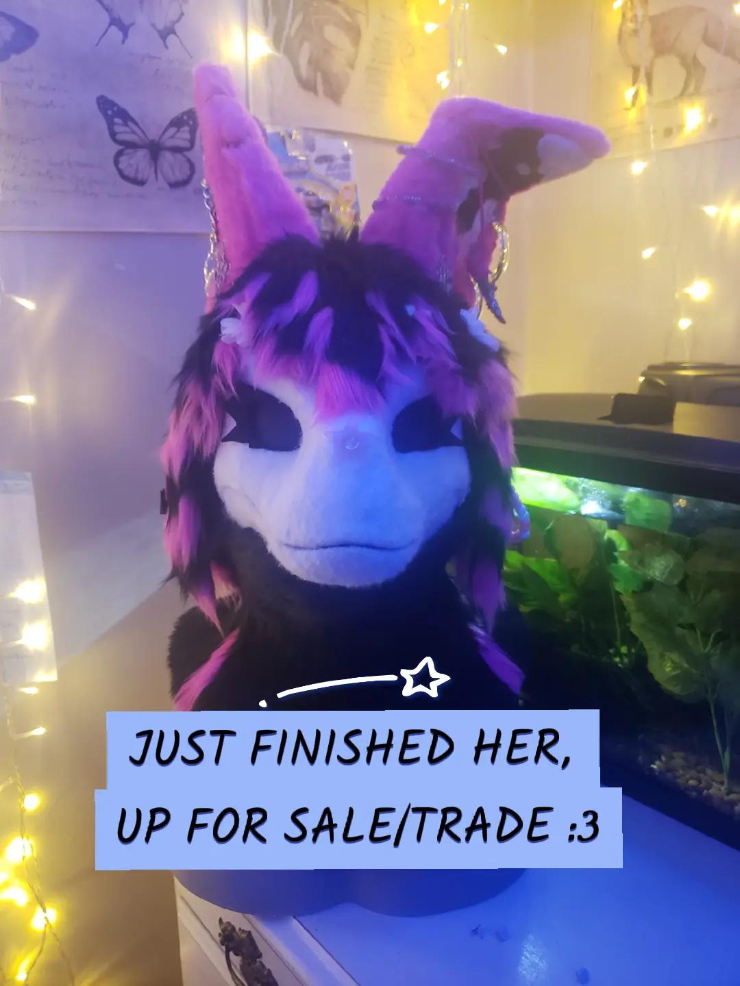 @thesilliestsquid:3🔜GFM 26!!