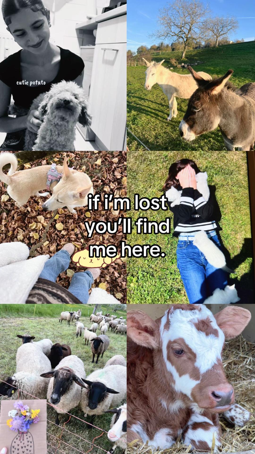 @vibewithwhimsymimi