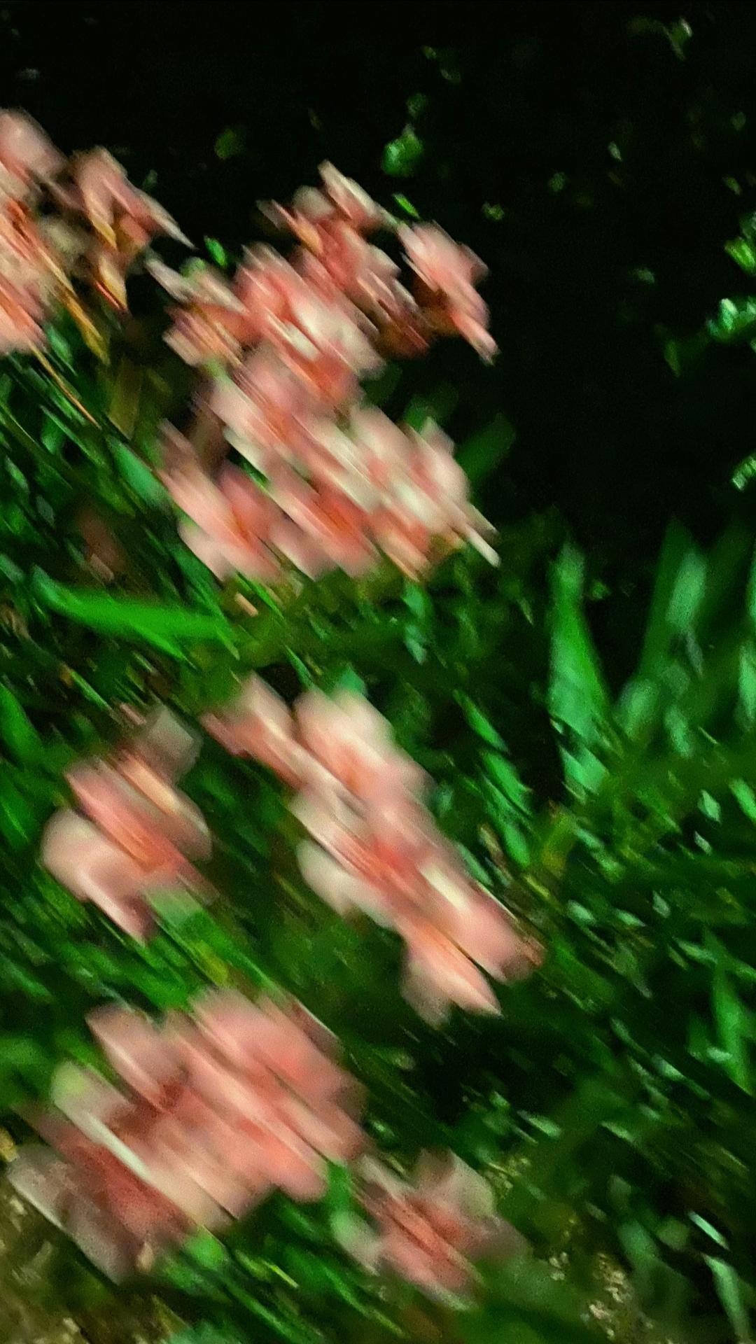 @𝐴&rsquo;✞