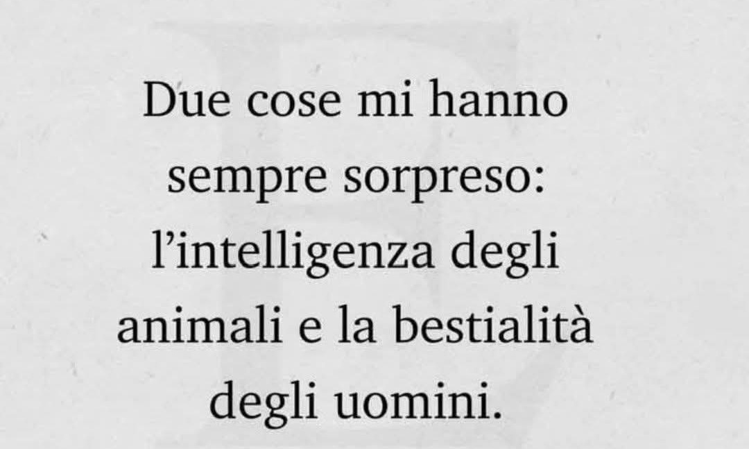 @mariadipaolo❤️❤️❤️
